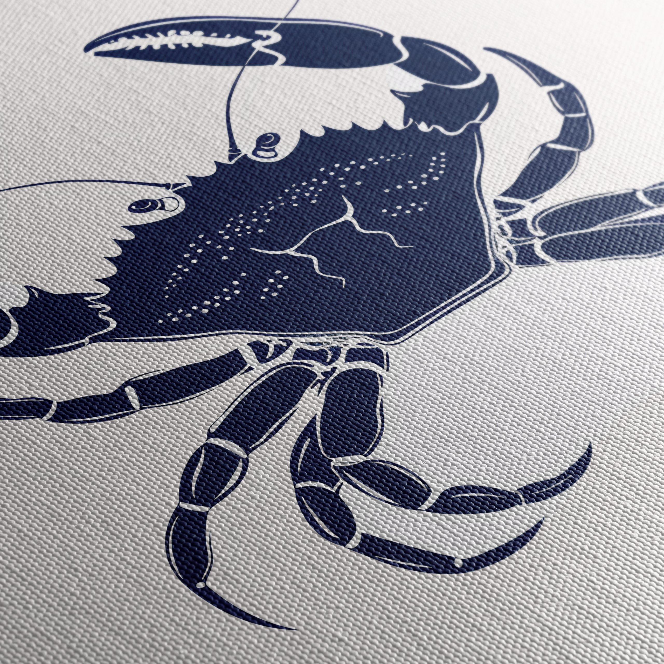 Anatomical Crab Artwork - Image 5