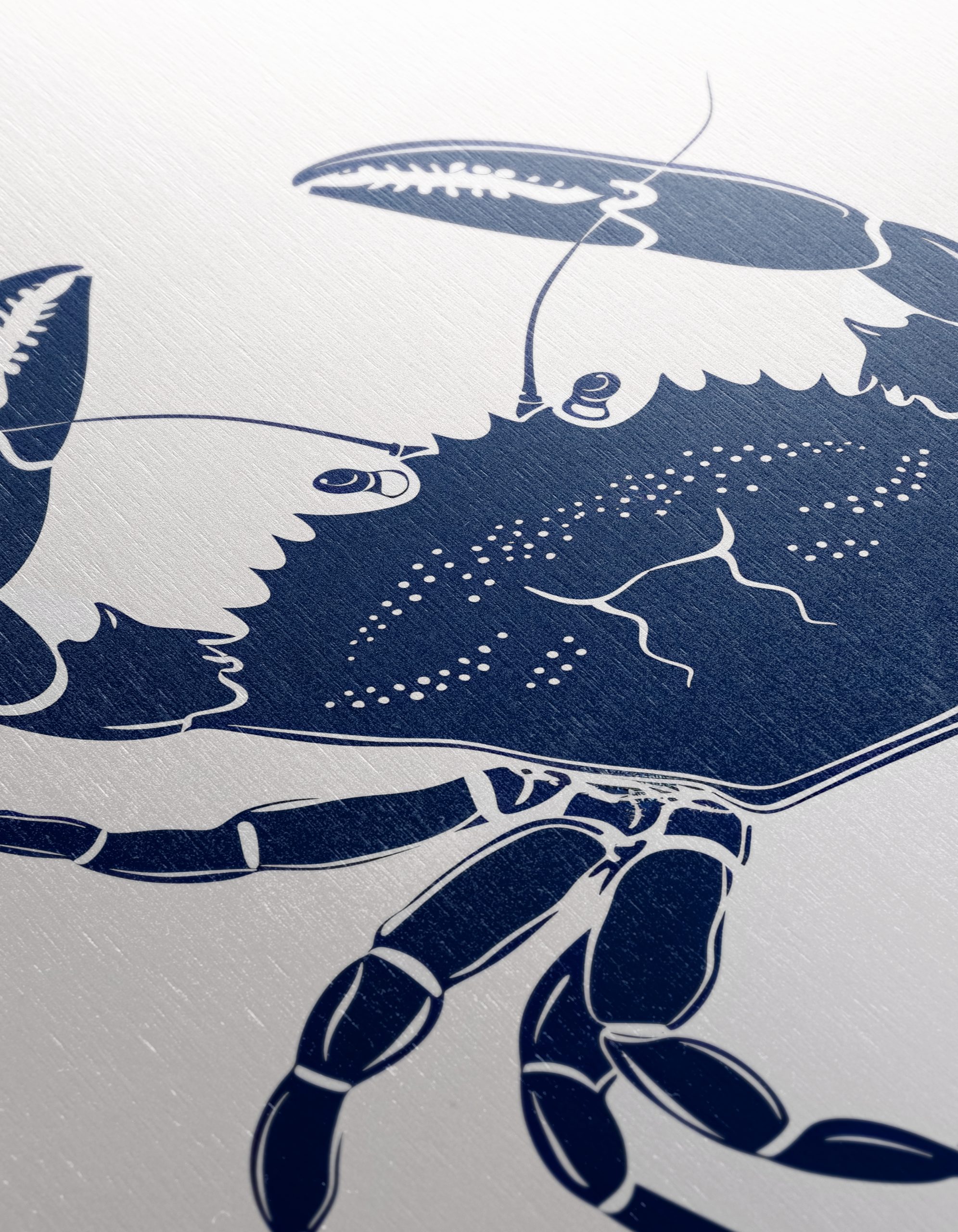 Anatomical Crab Artwork - Image 12