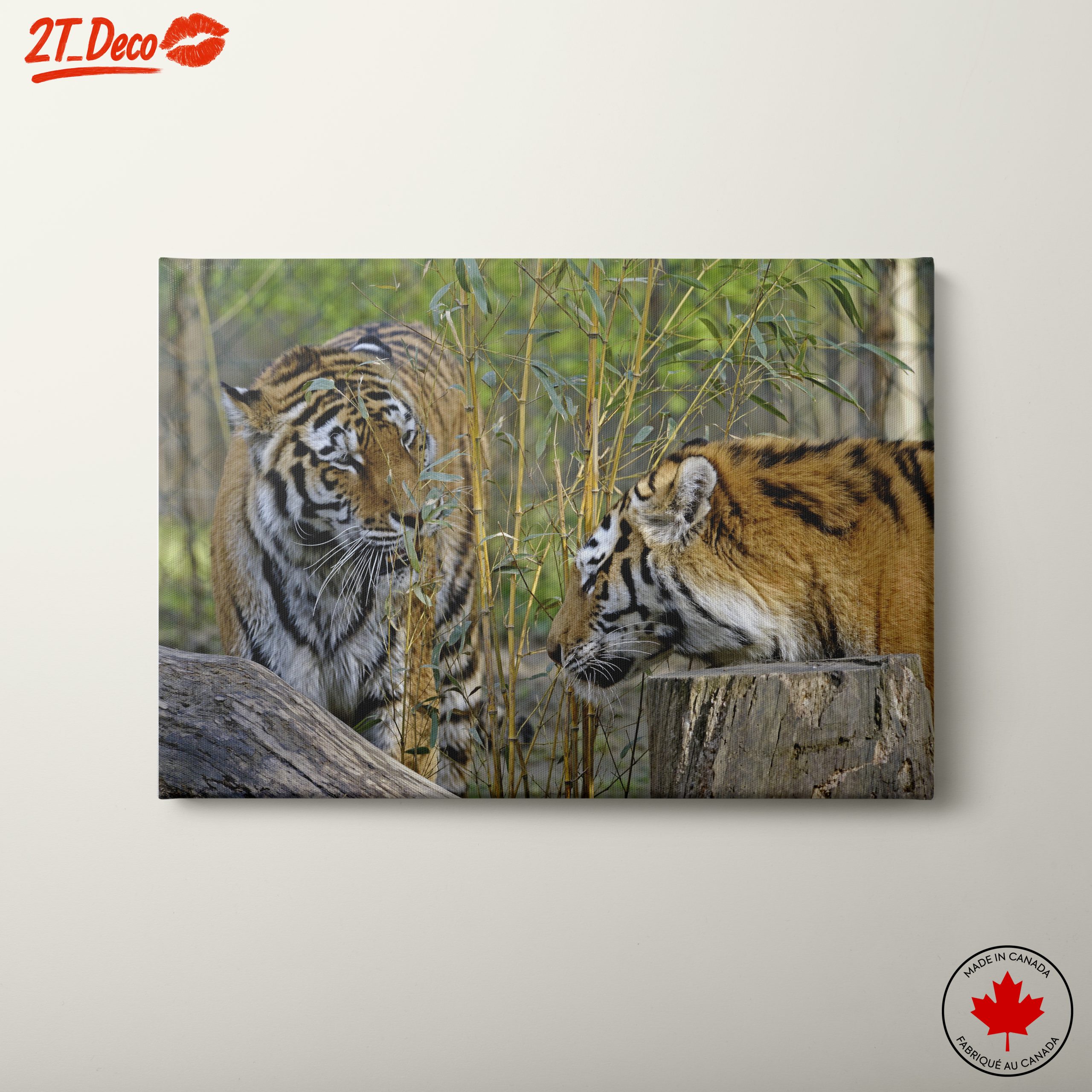 Pair of Tigers Among Bamboo
