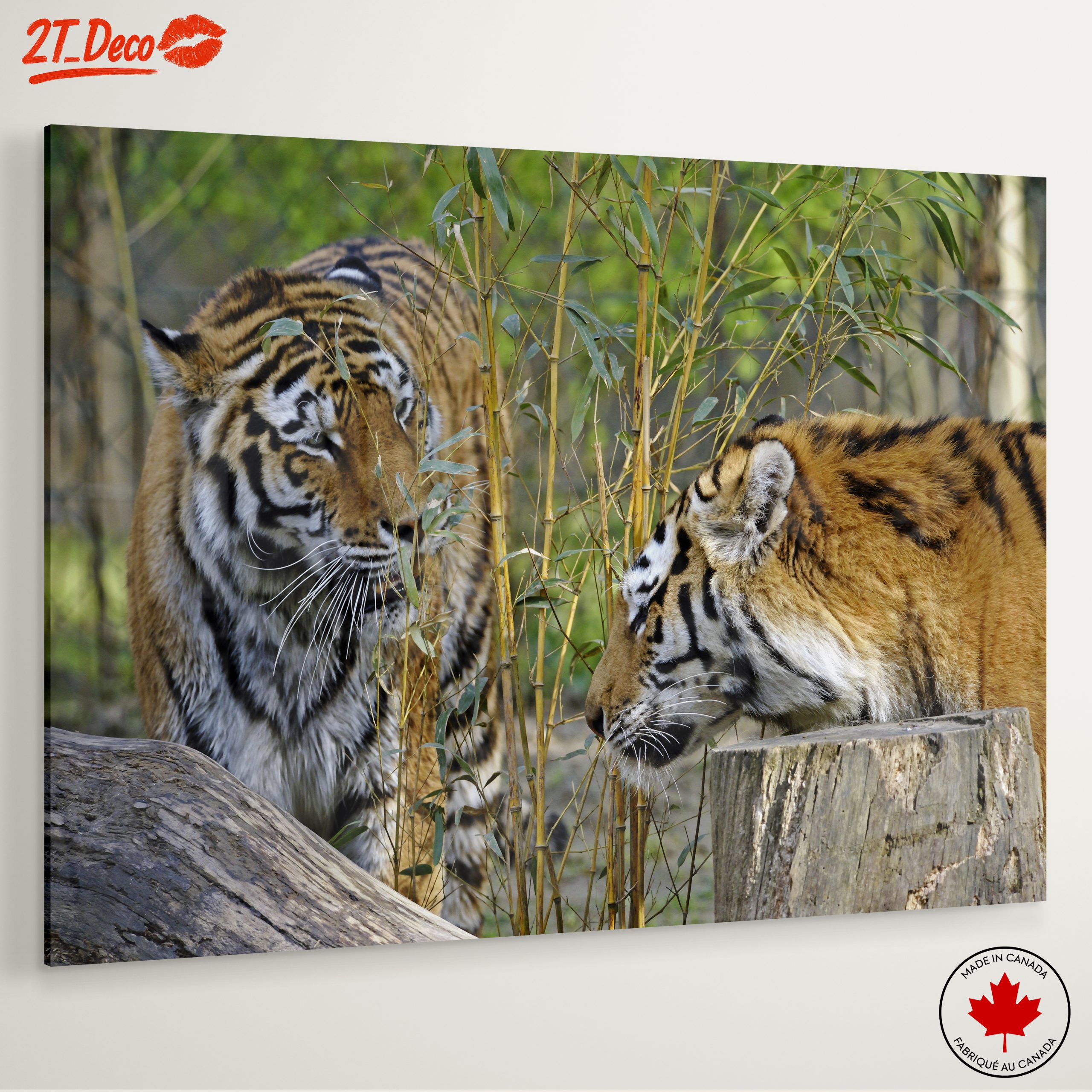 Pair of Tigers Among Bamboo - Image 6