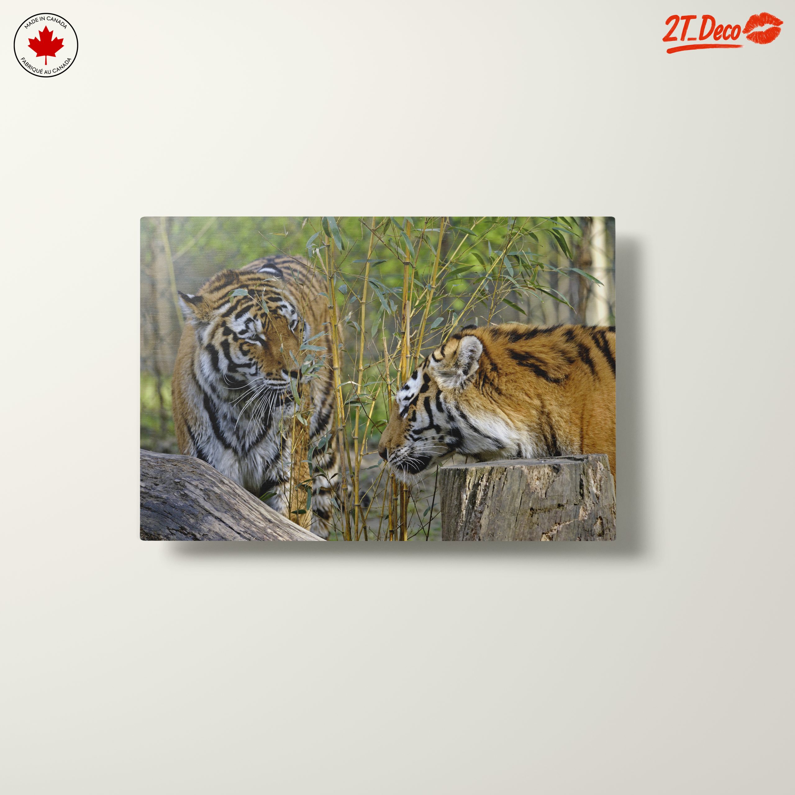 Pair of Tigers Among Bamboo - Image 10