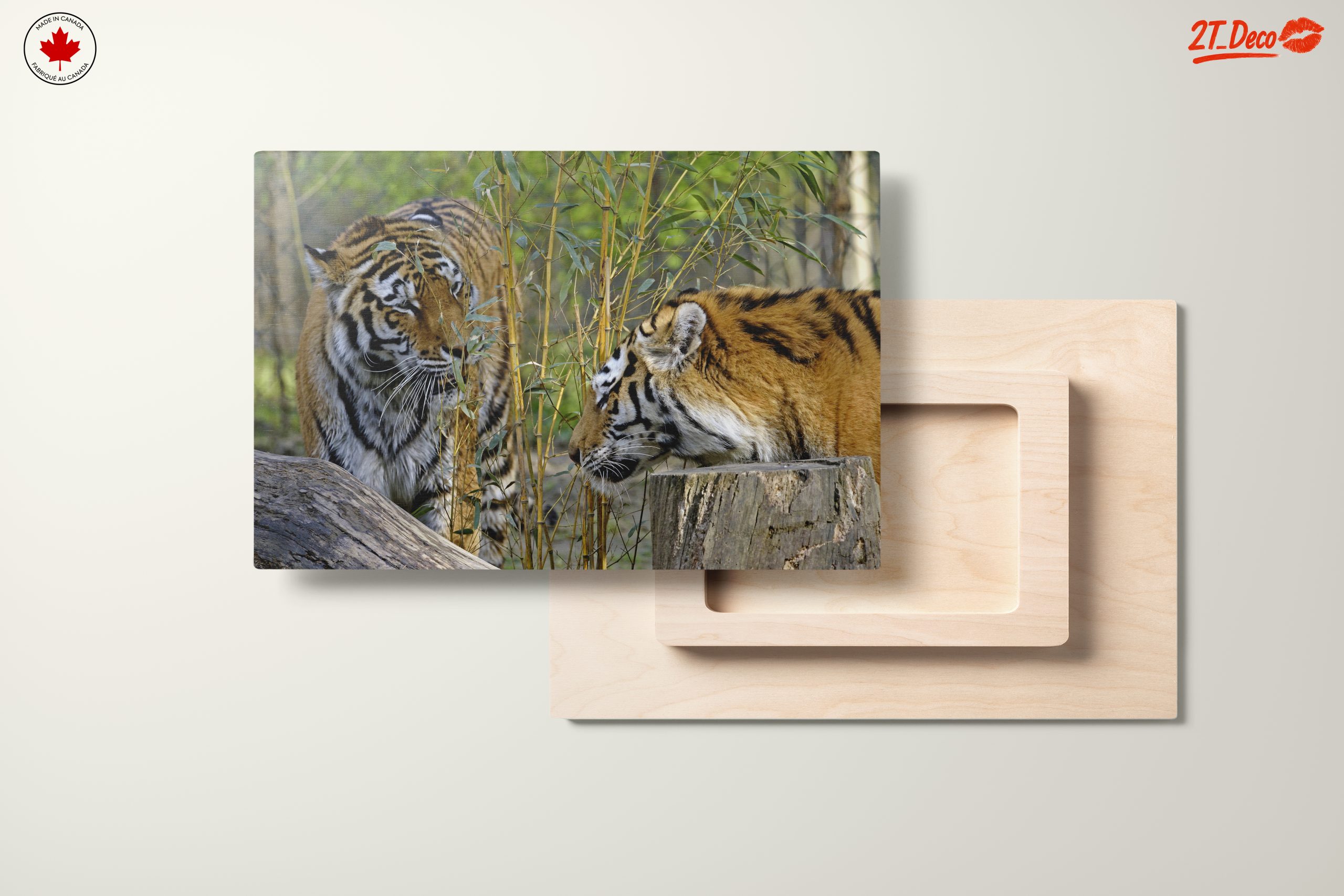 Pair of Tigers Among Bamboo - Image 11