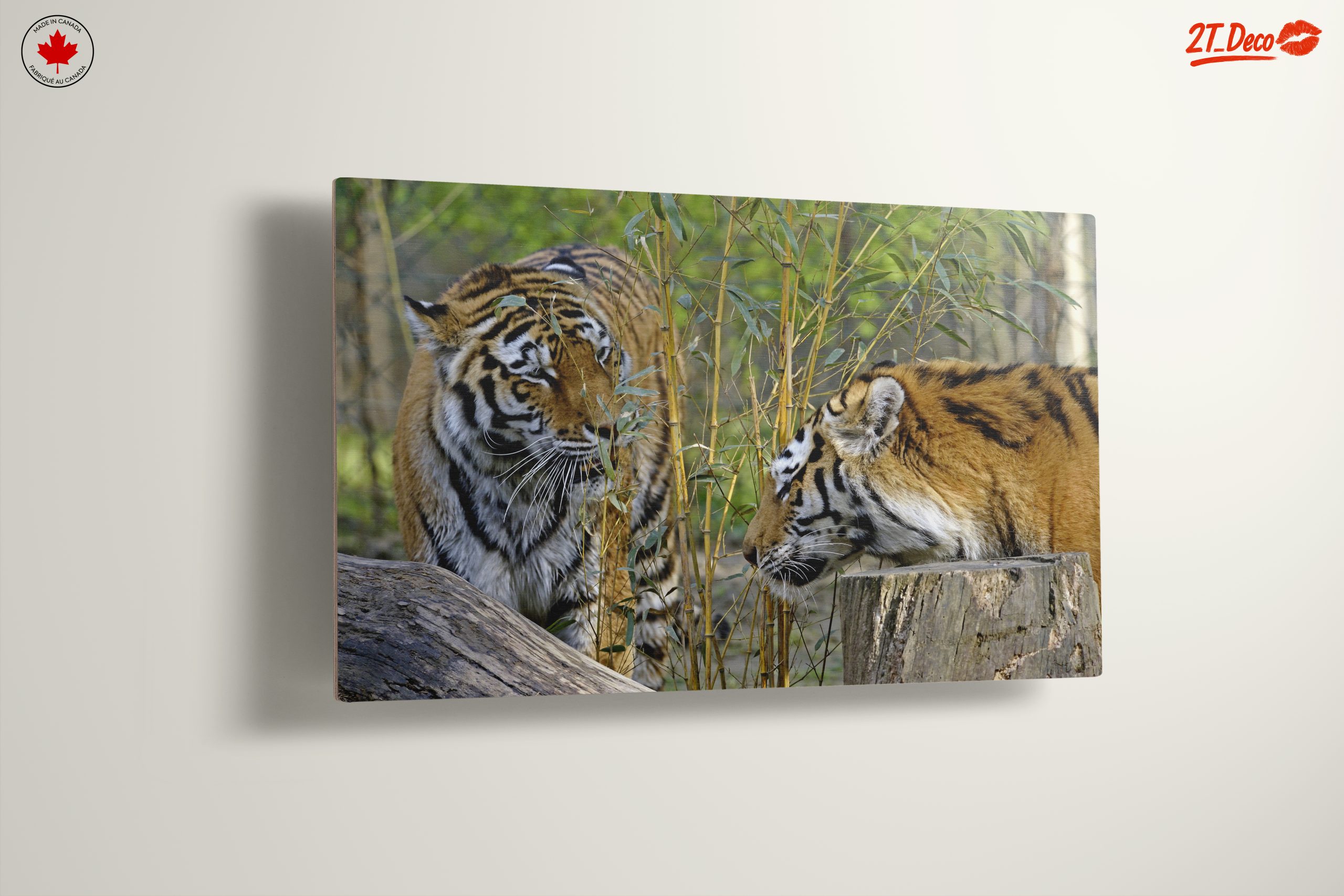 Pair of Tigers Among Bamboo - Image 13
