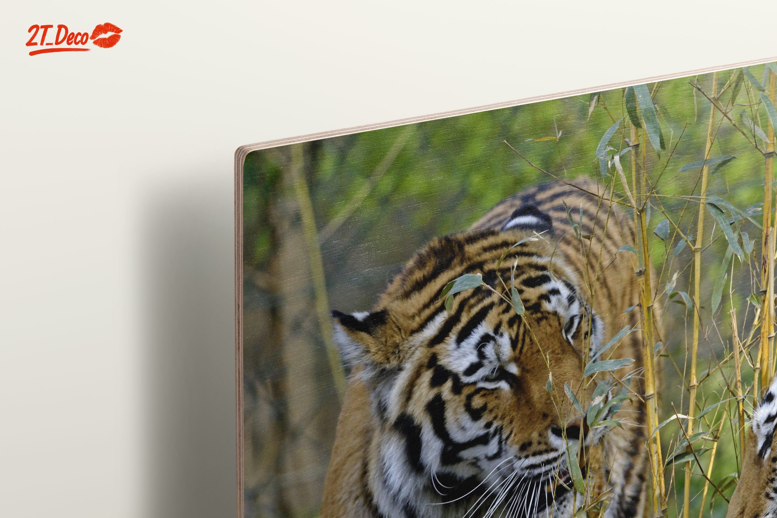 Pair of Tigers Among Bamboo - Image 15