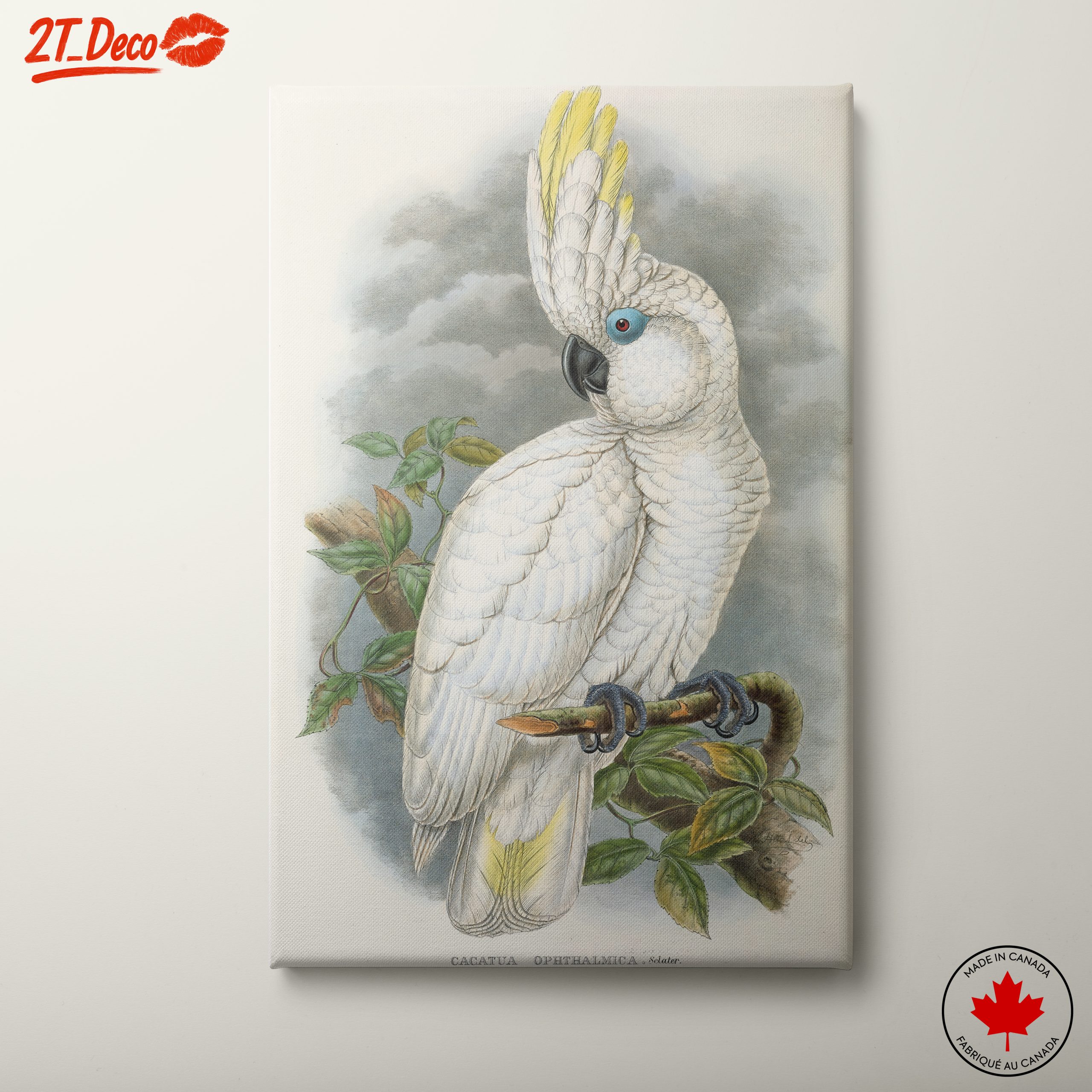 Elegant Cockatoo Bird Art