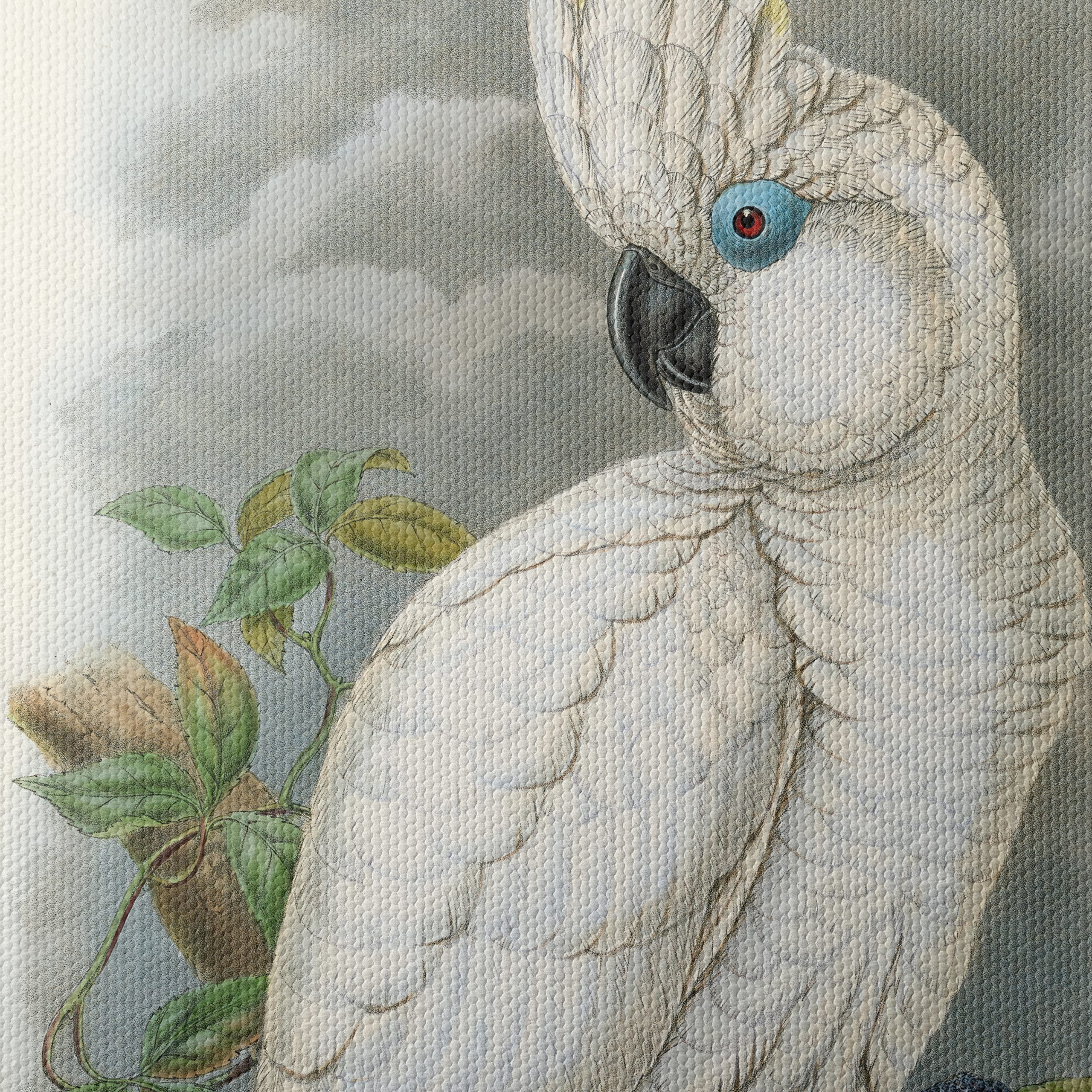 Elegant Cockatoo Bird Art - Image 4