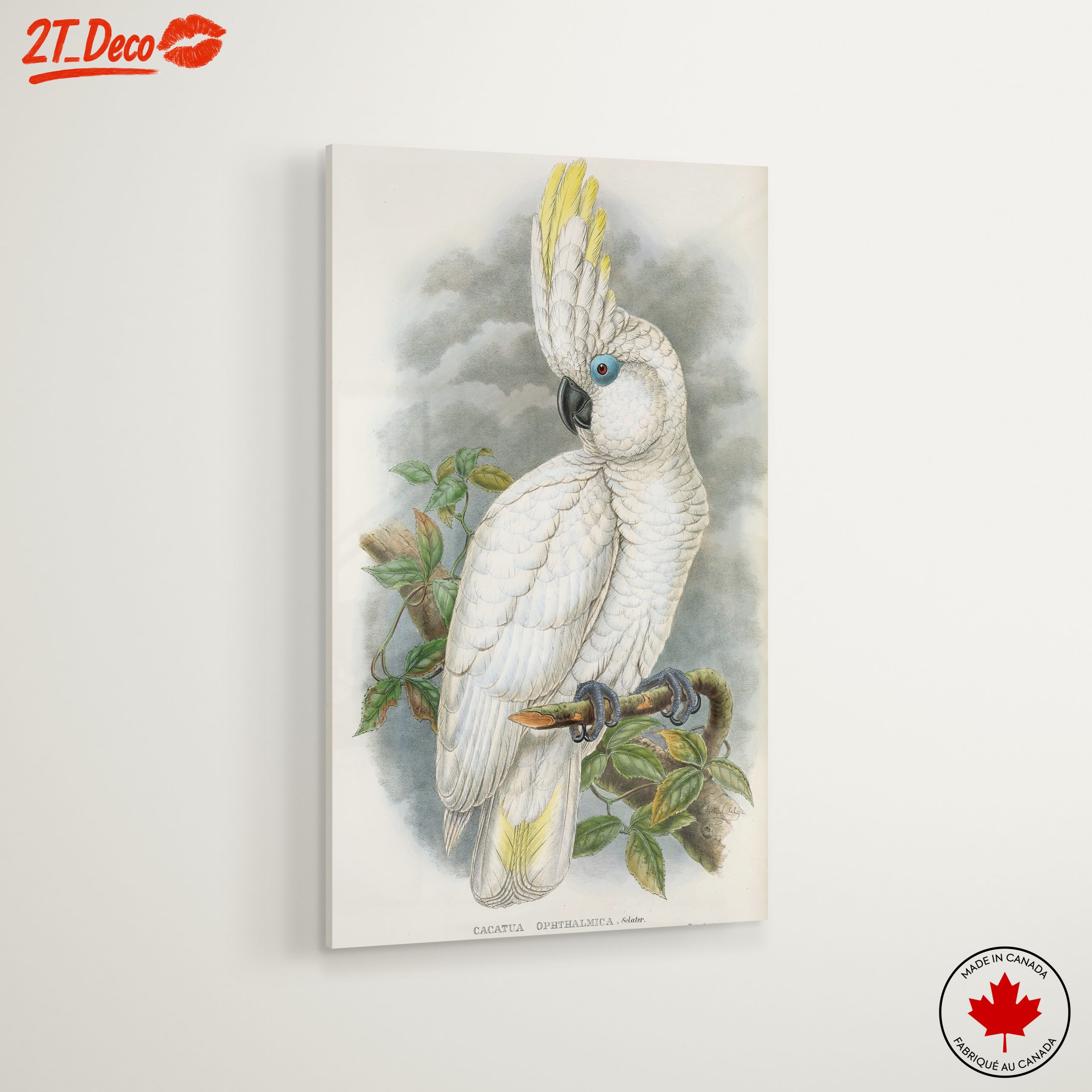 Elegant Cockatoo Bird Art - Image 6