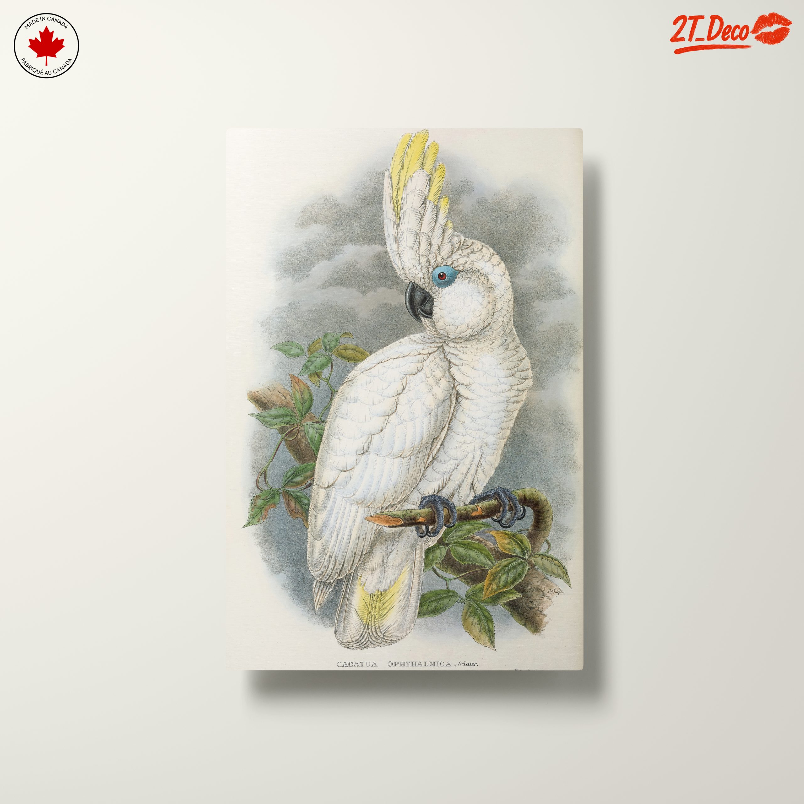 Elegant Cockatoo Bird Art - Image 10