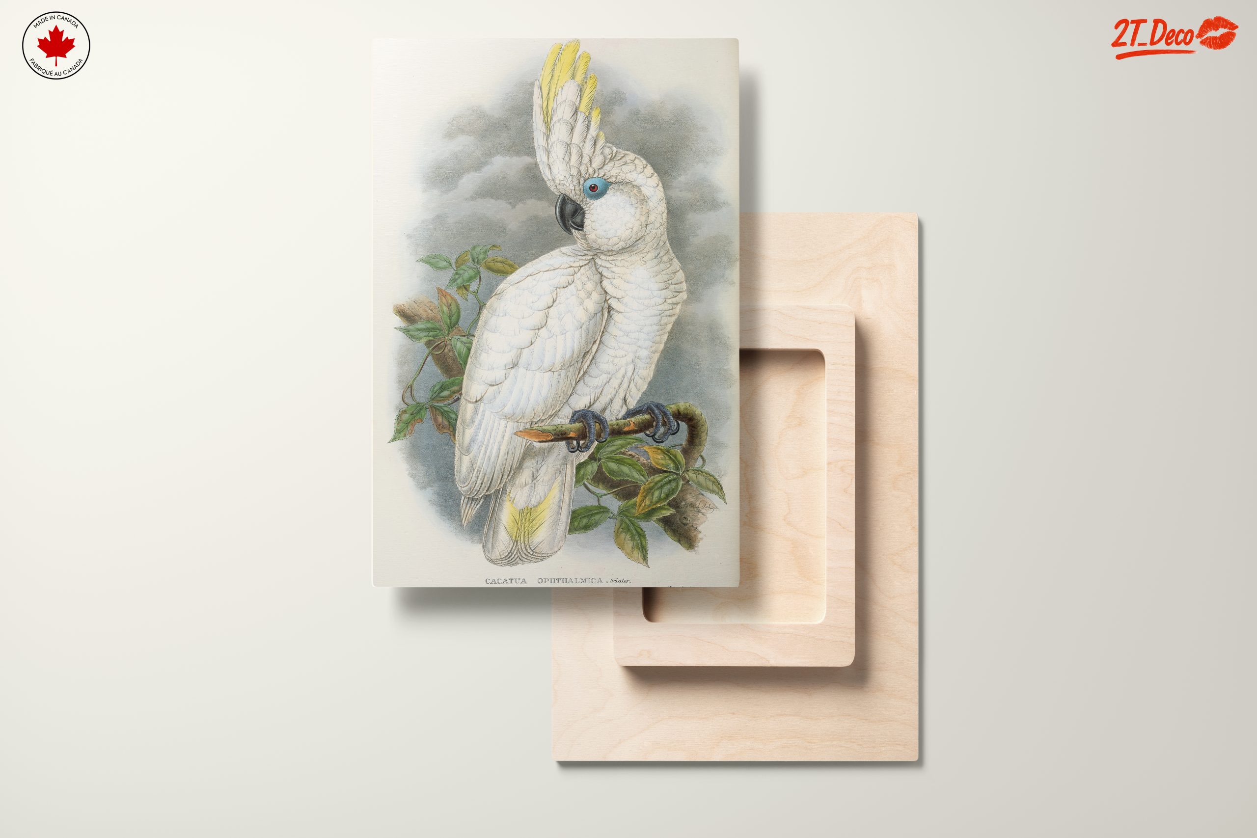 Elegant Cockatoo Bird Art - Image 11