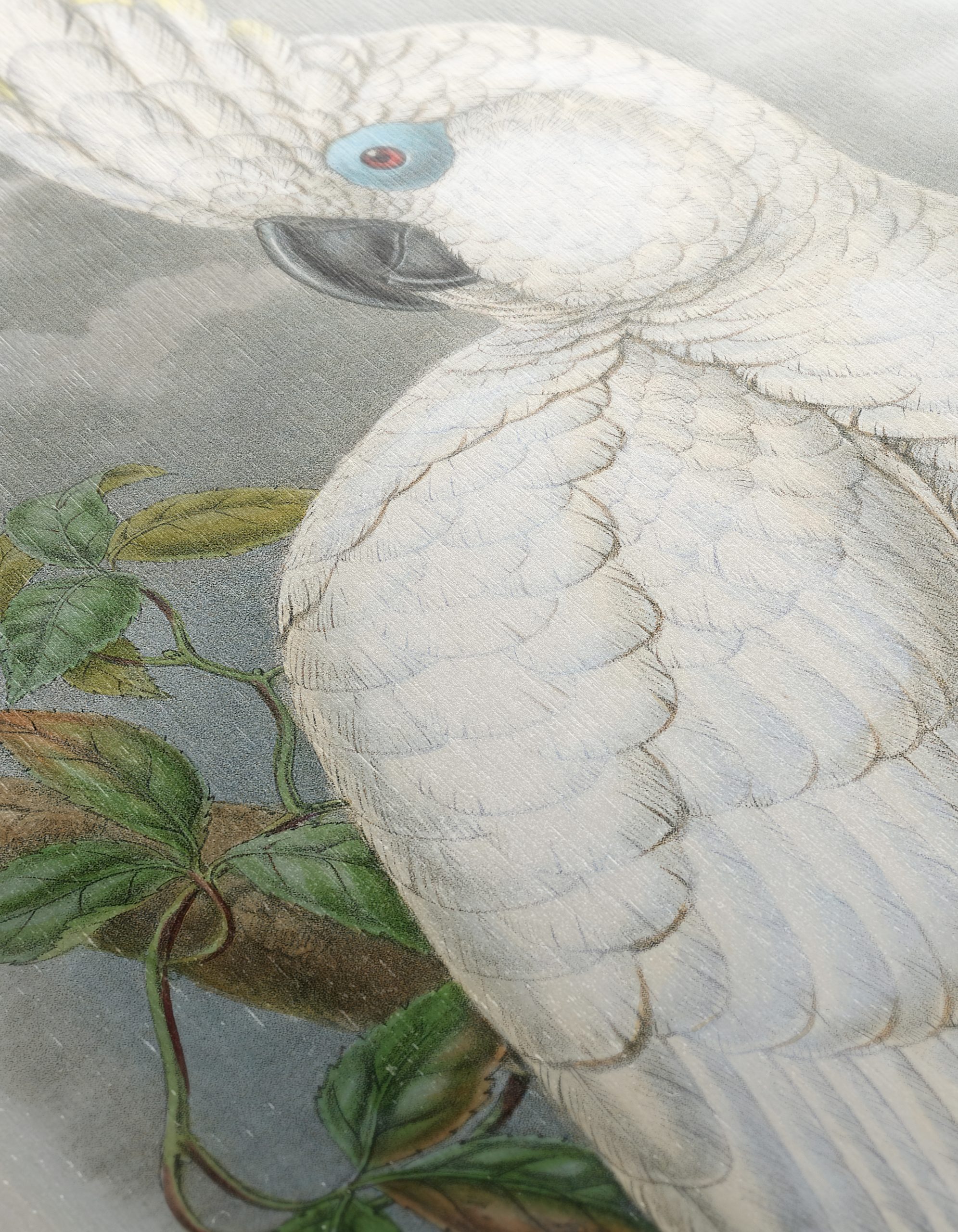 Elegant Cockatoo Bird Art - Image 12