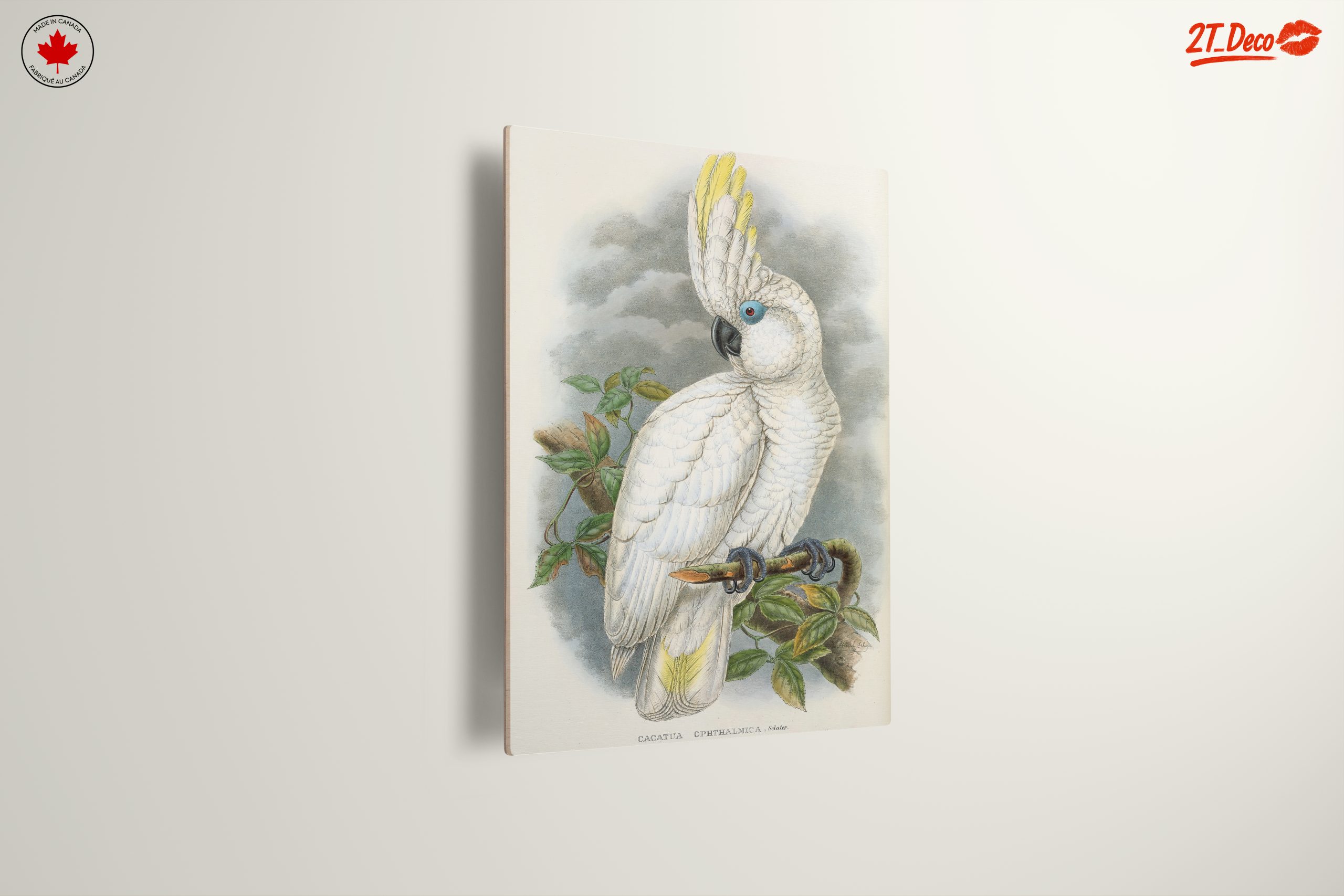 Elegant Cockatoo Bird Art - Image 13