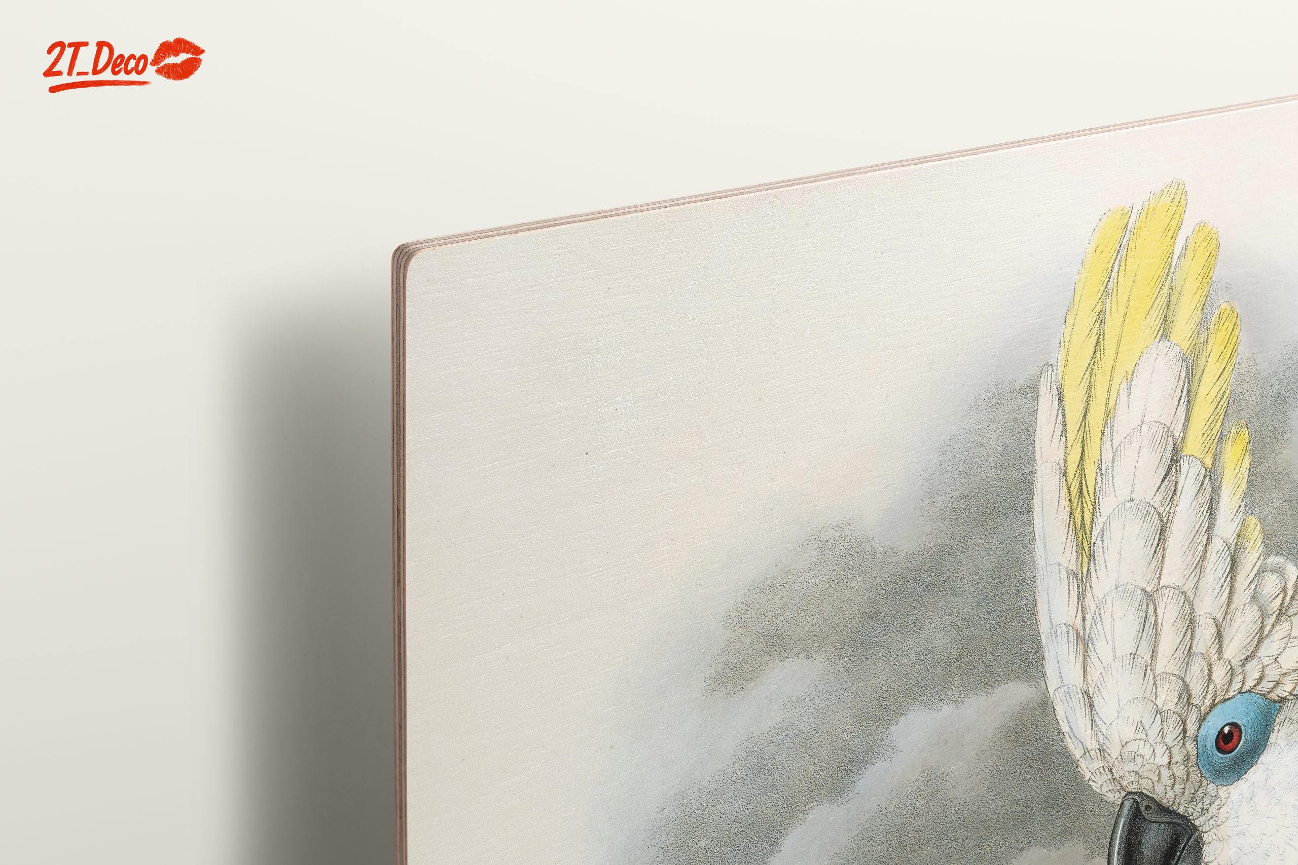 Elegant Cockatoo Bird Art - Image 15