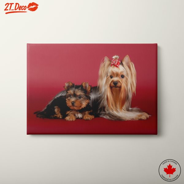 Cute Yorkshire Terriers Wall Art