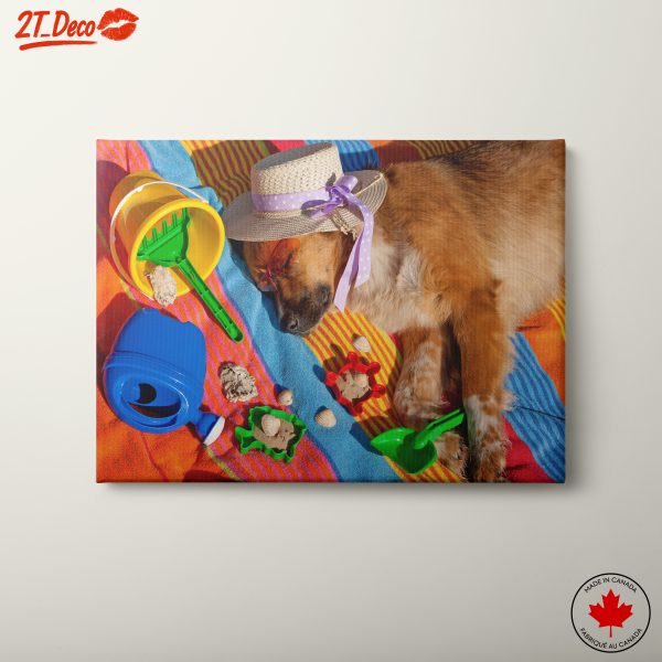 Dog Relaxing on the Beach with Toys