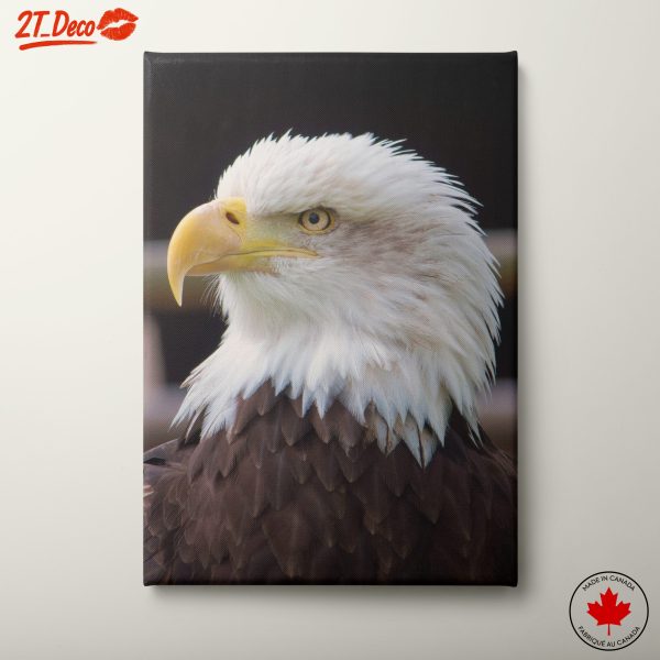 Majestic Bald Eagle Portrait 3