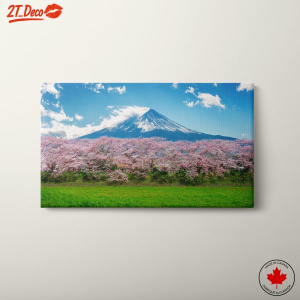 Cherry Blossoms with Mount Fuji 2