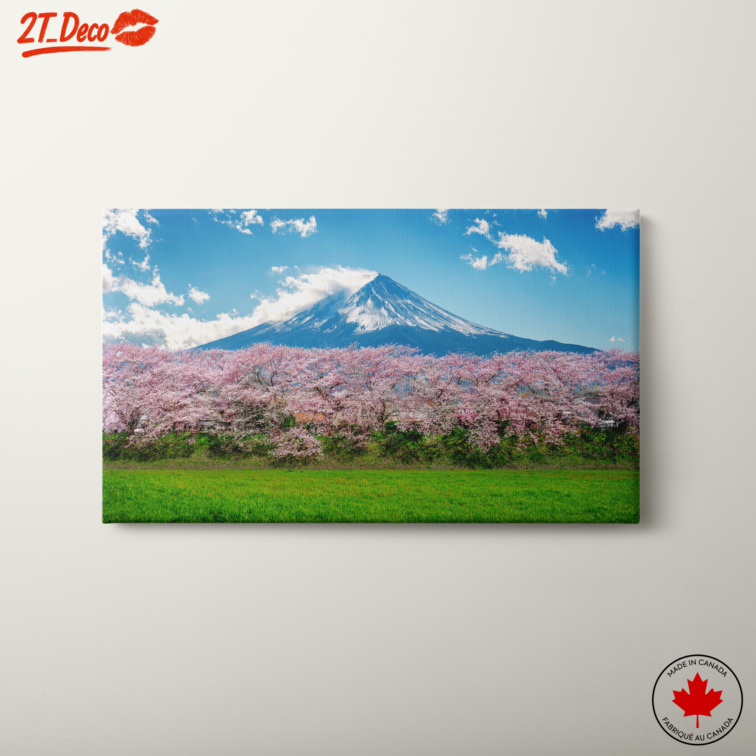Cherry Blossoms with Mount Fuji 2