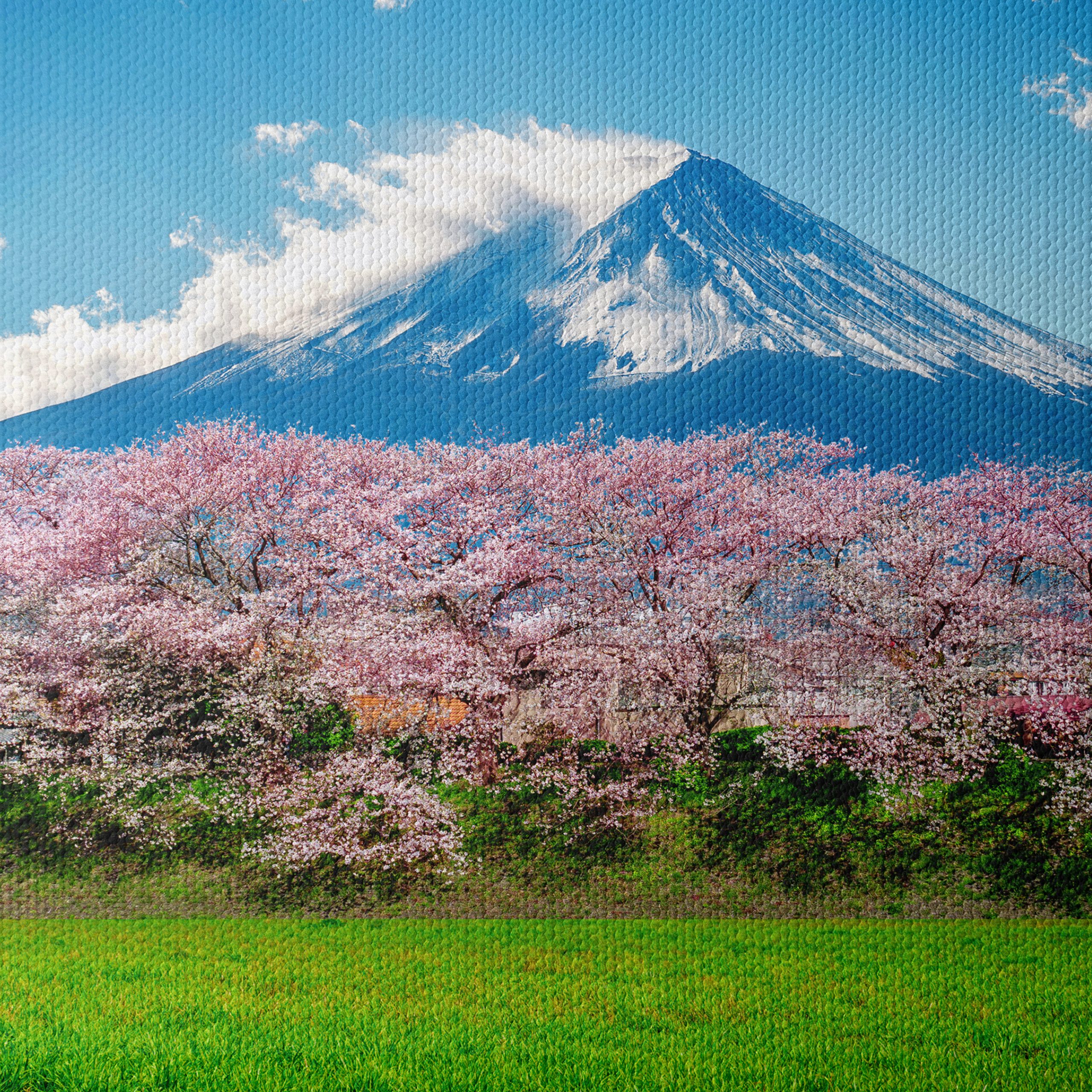 Cherry Blossoms with Mount Fuji 2 - Image 4