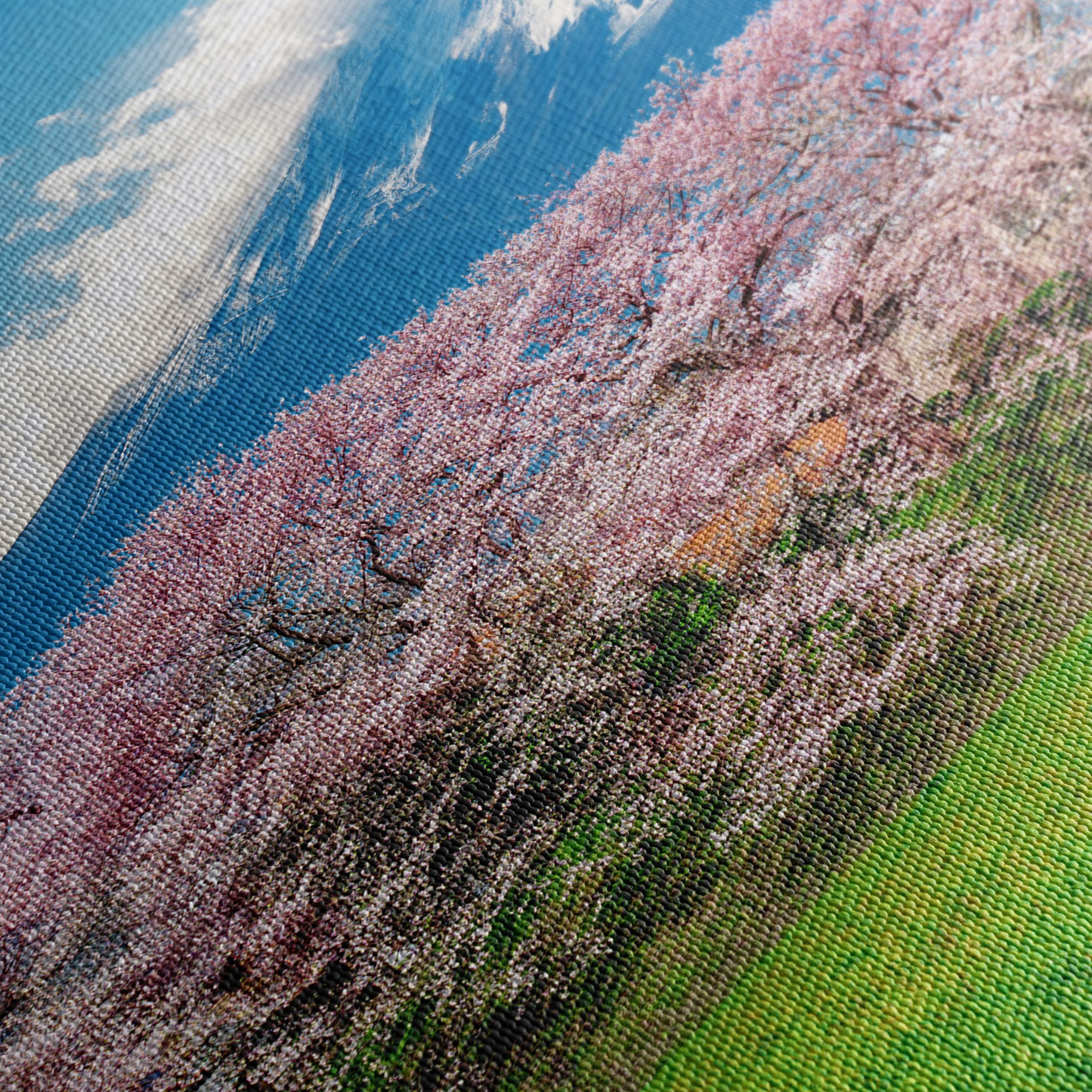 Cherry Blossoms with Mount Fuji 2 - Image 5