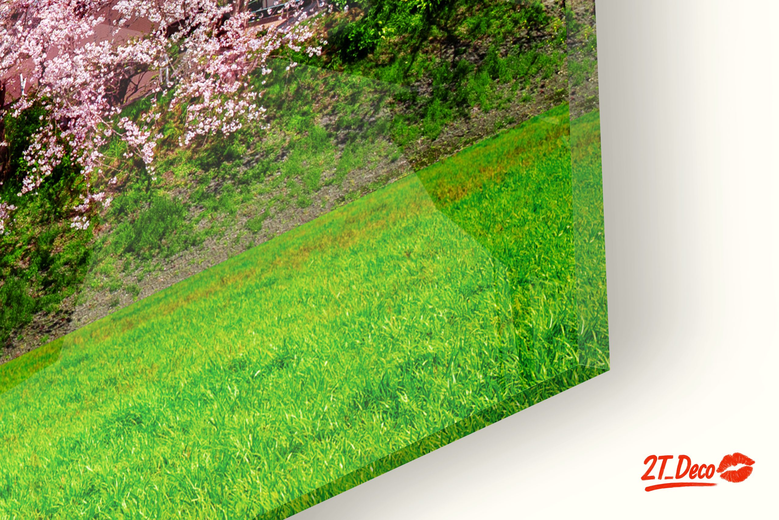 Cherry Blossoms with Mount Fuji 2 - Image 9