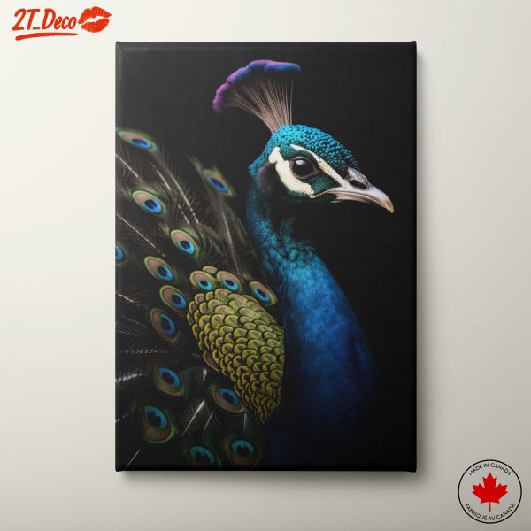Stunning Peacock Wall Art