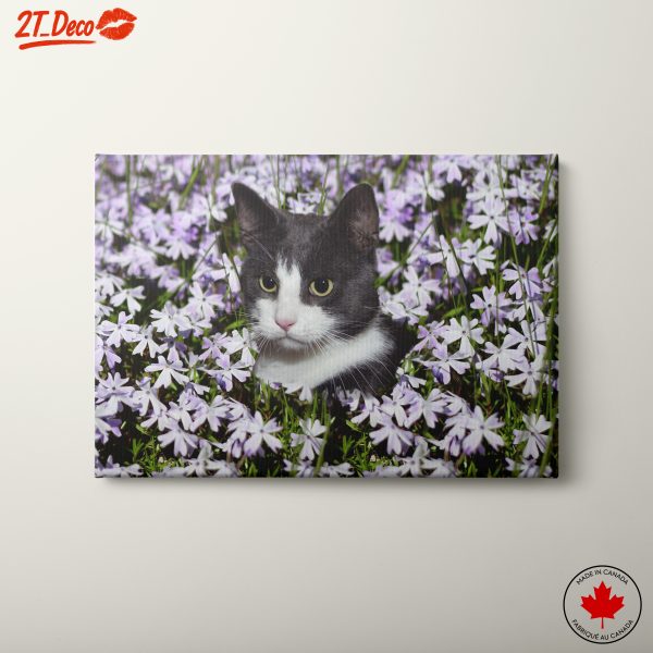 Cat Portrait Surrounded by Flowers