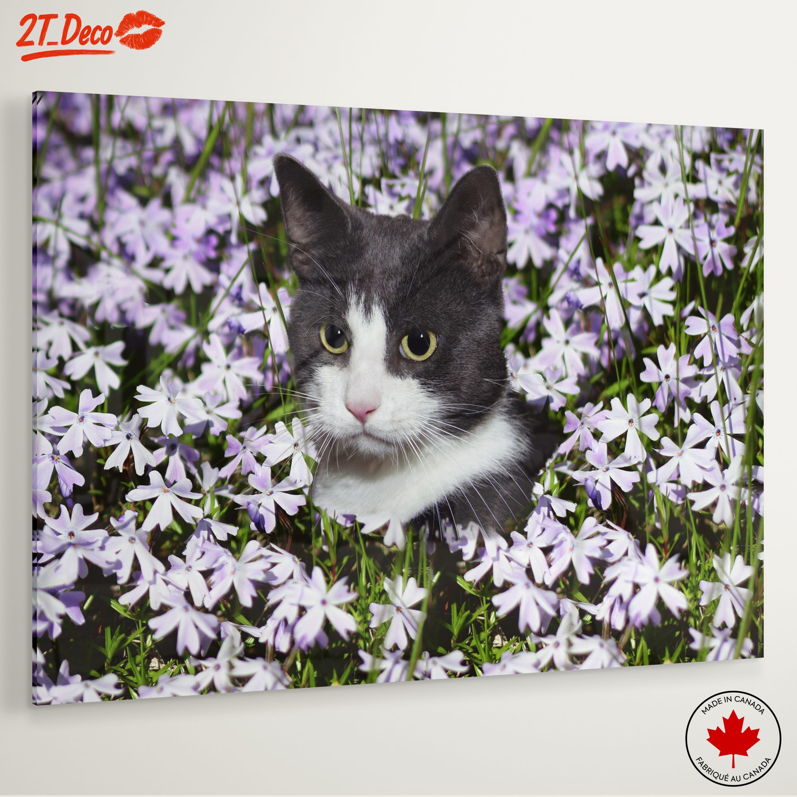 Cat Portrait Surrounded by Flowers - Image 6