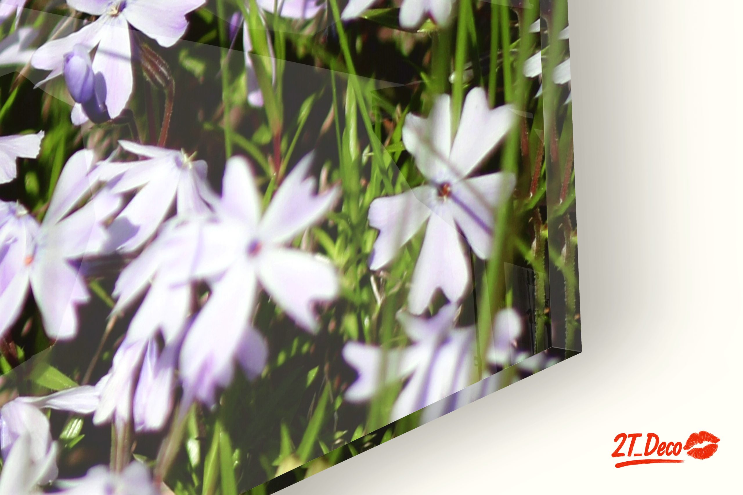 Cat Portrait Surrounded by Flowers - Image 9
