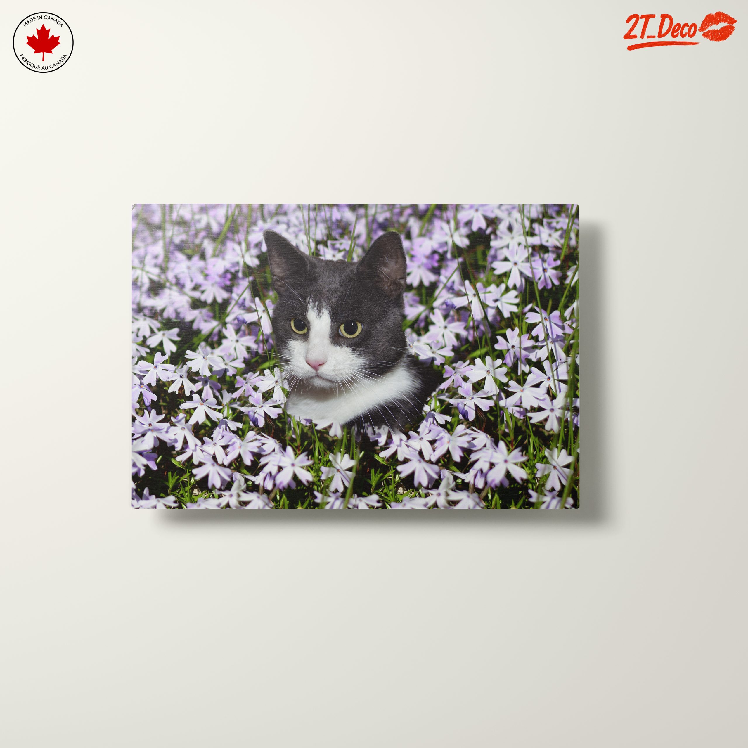Cat Portrait Surrounded by Flowers - Image 10