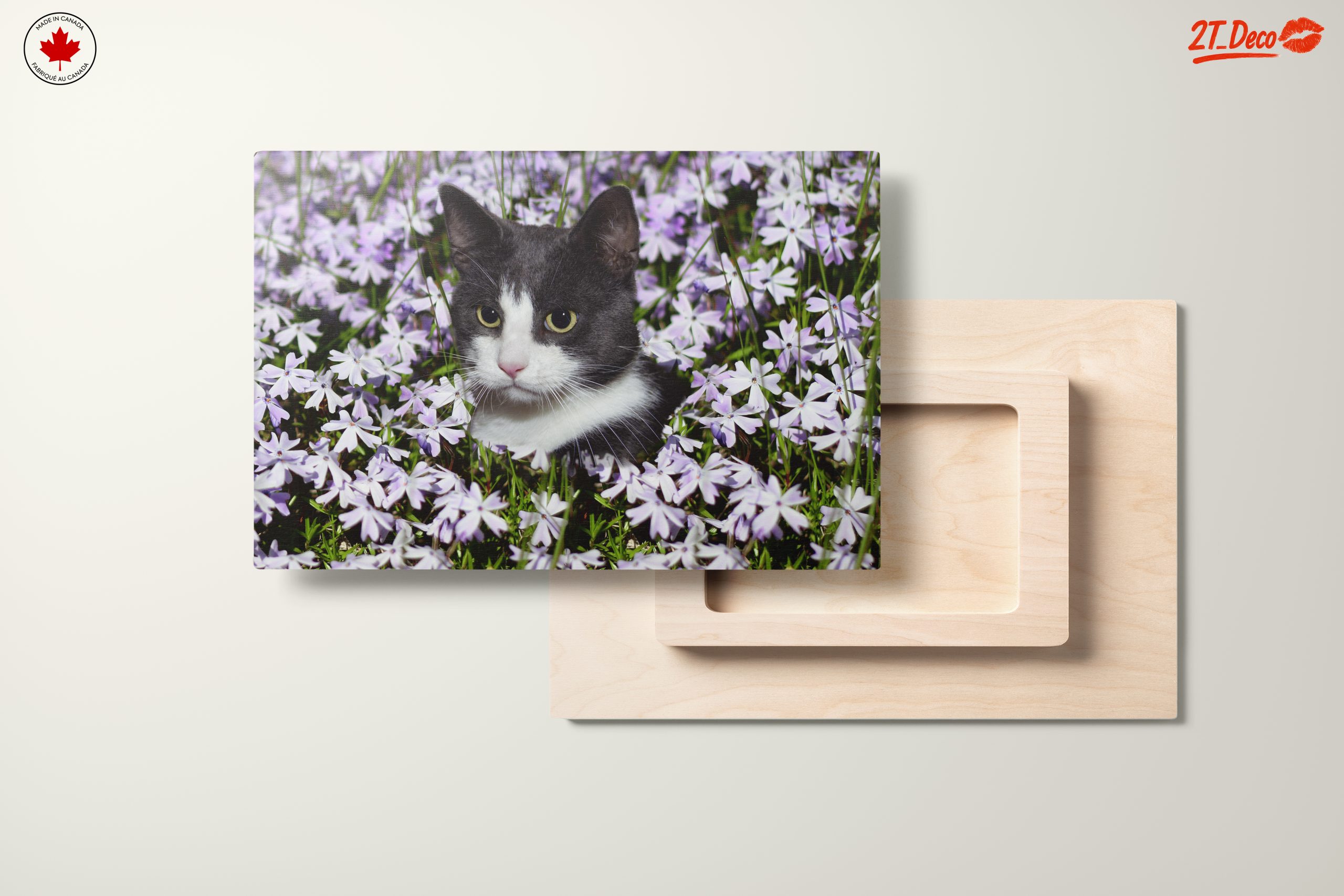 Cat Portrait Surrounded by Flowers - Image 11
