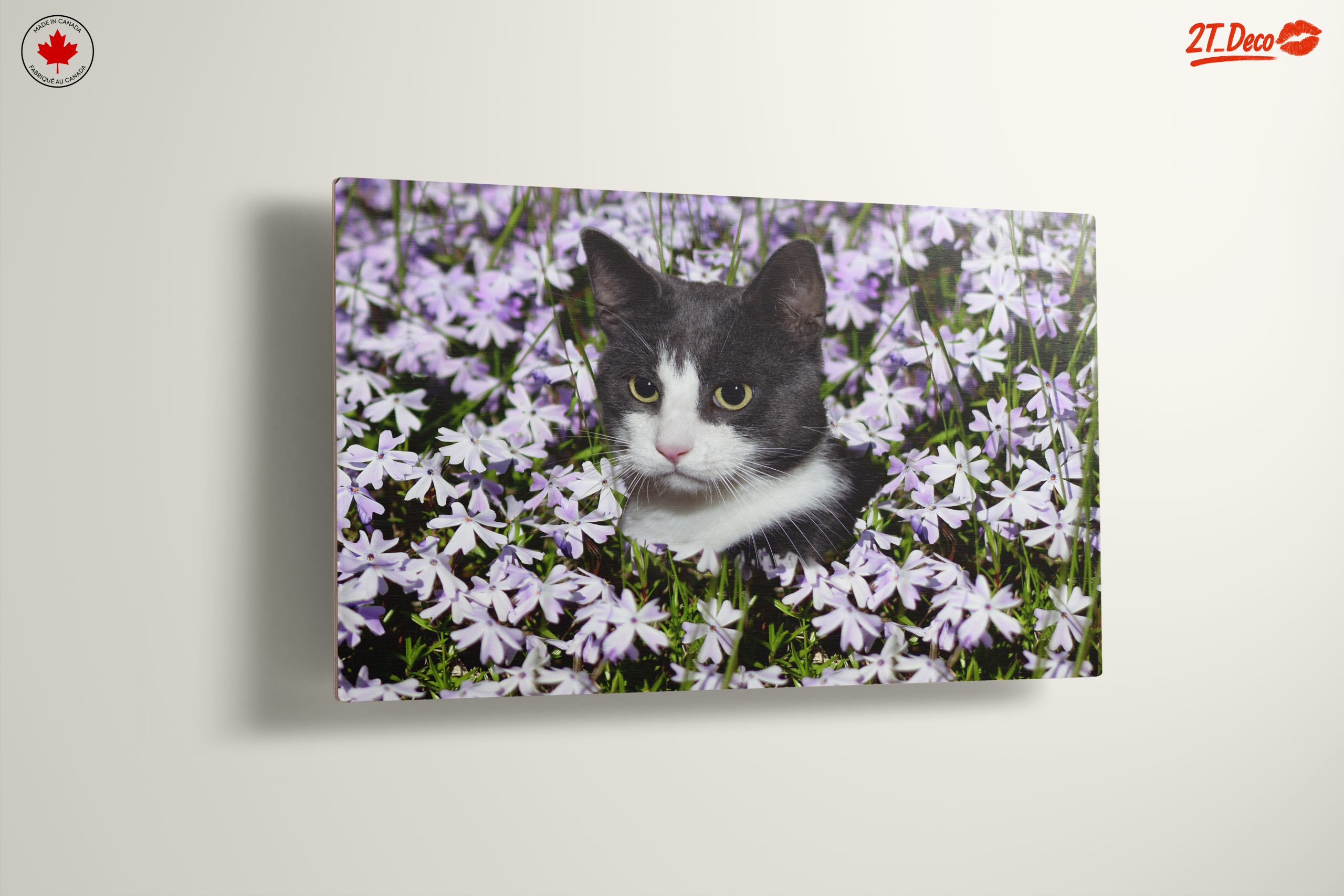 Cat Portrait Surrounded by Flowers - Image 13