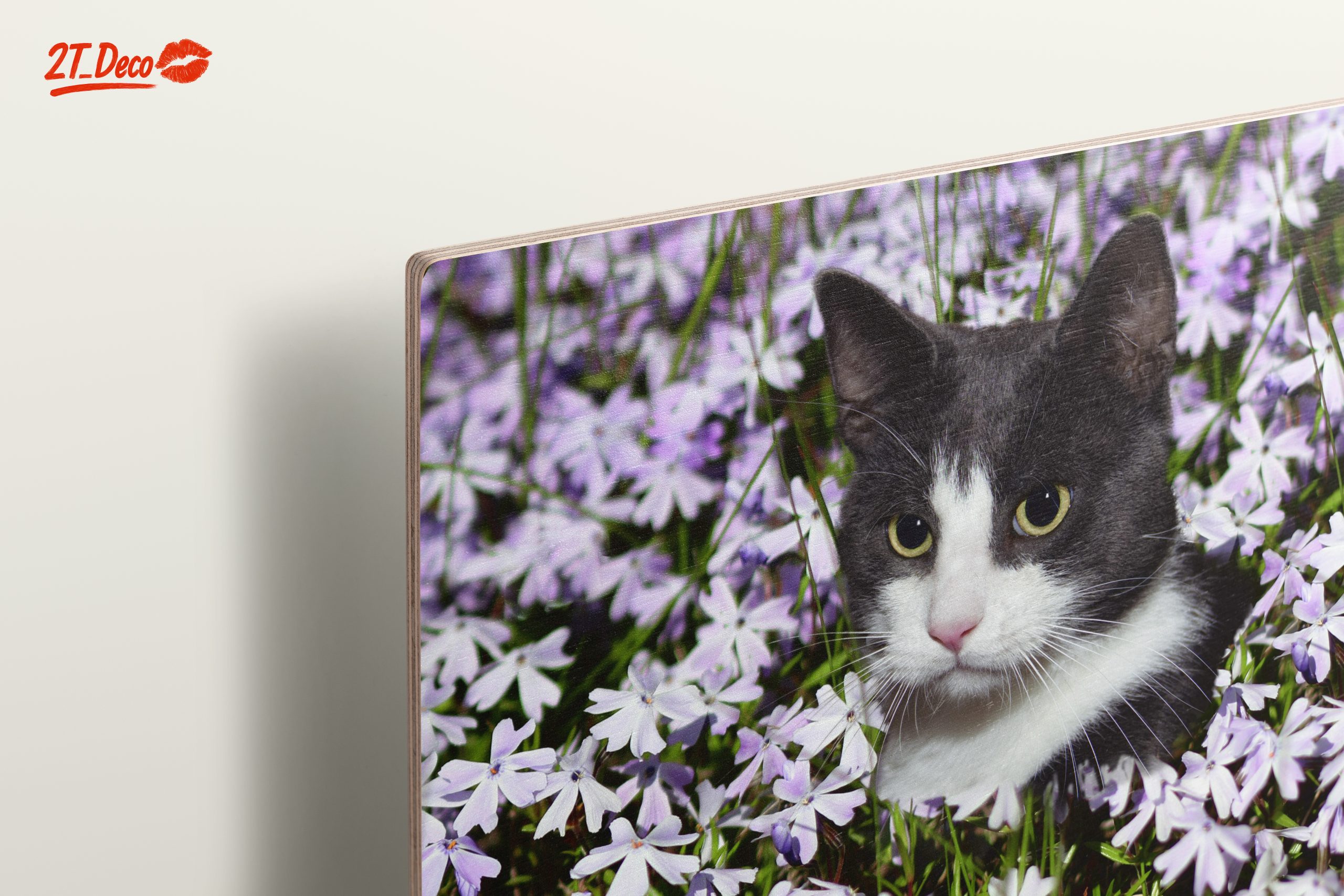 Cat Portrait Surrounded by Flowers - Image 15