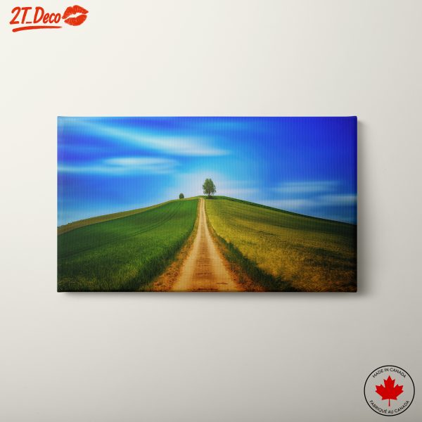 Serene Nature Landscape with Rolling Hills