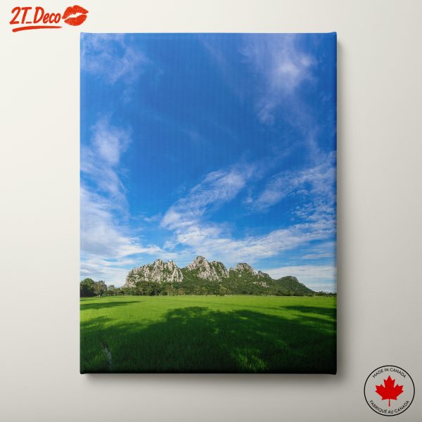 Serene Nature Landscape with Lush Greenery