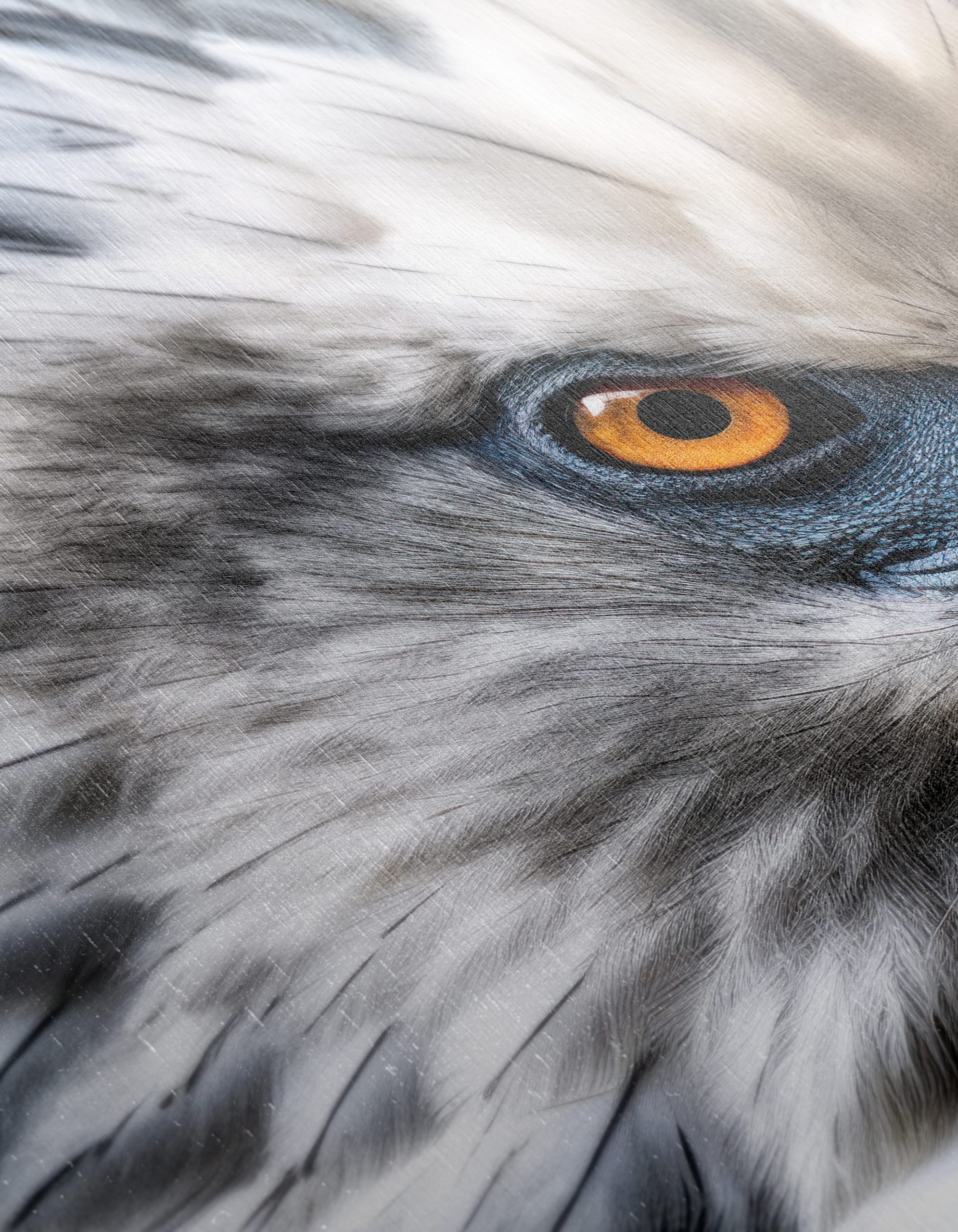 Majestic Eagle Wall Art 6 - Image 12