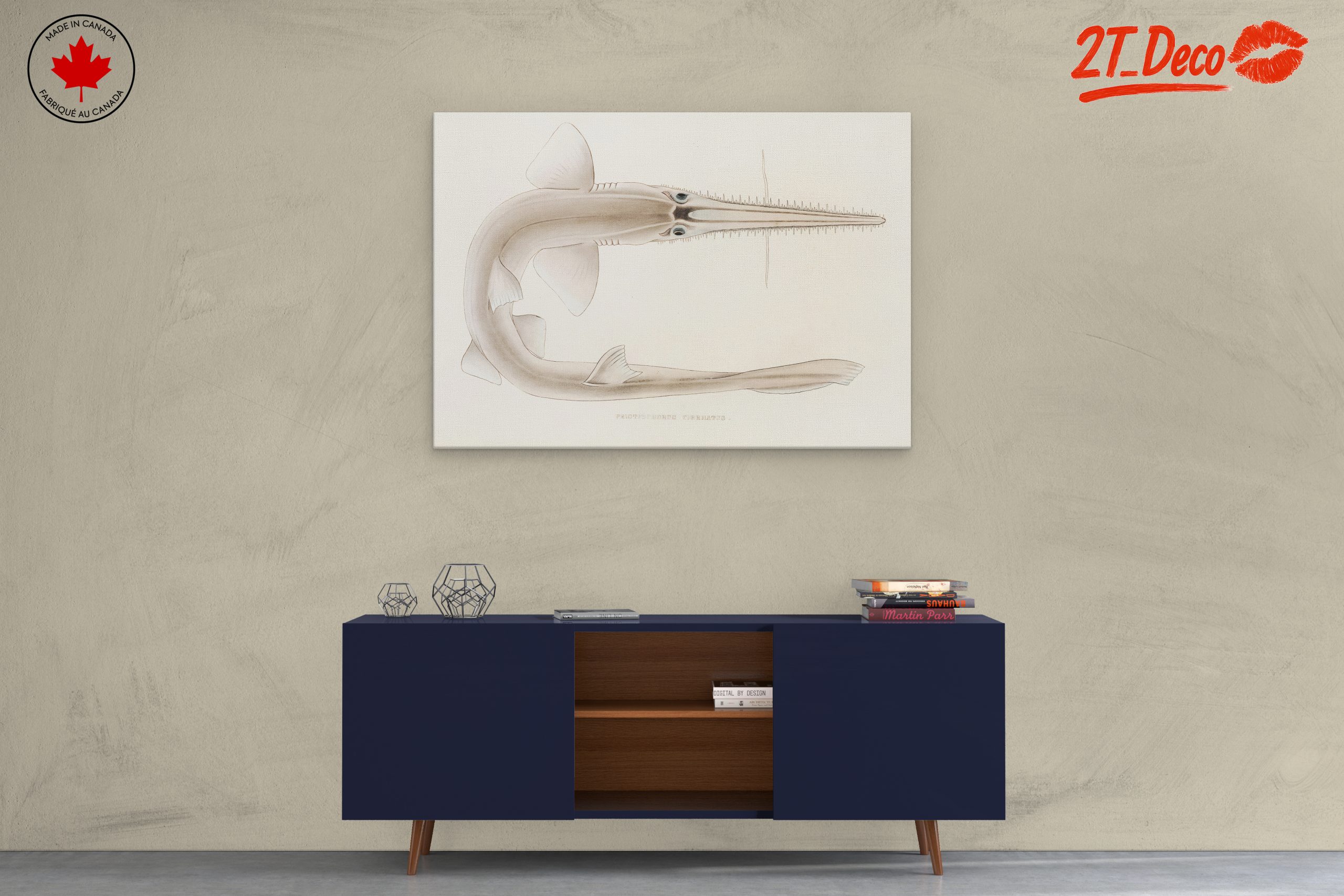 Scientific Illustration of a Fish - Image 3