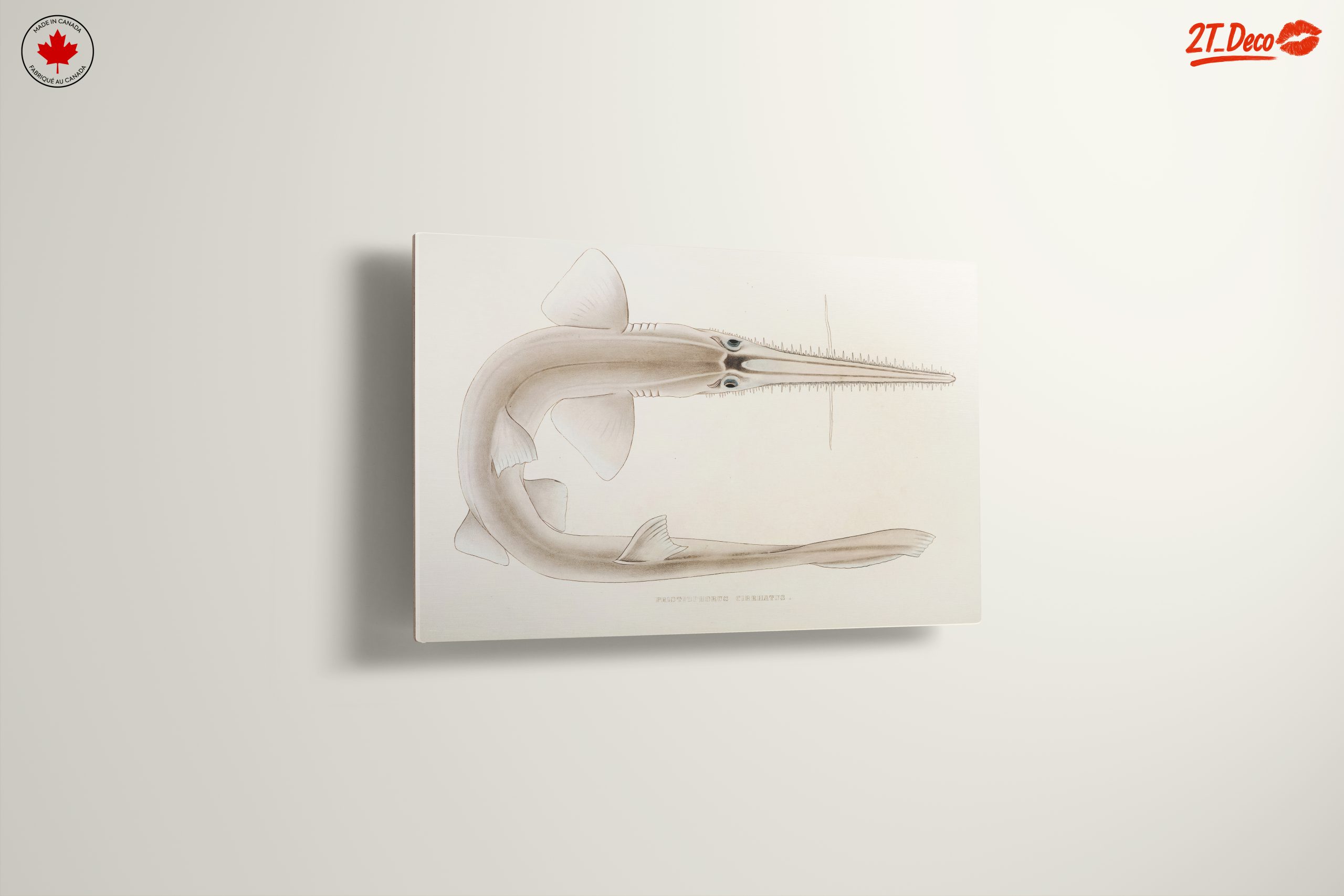 Scientific Illustration of a Fish - Image 13