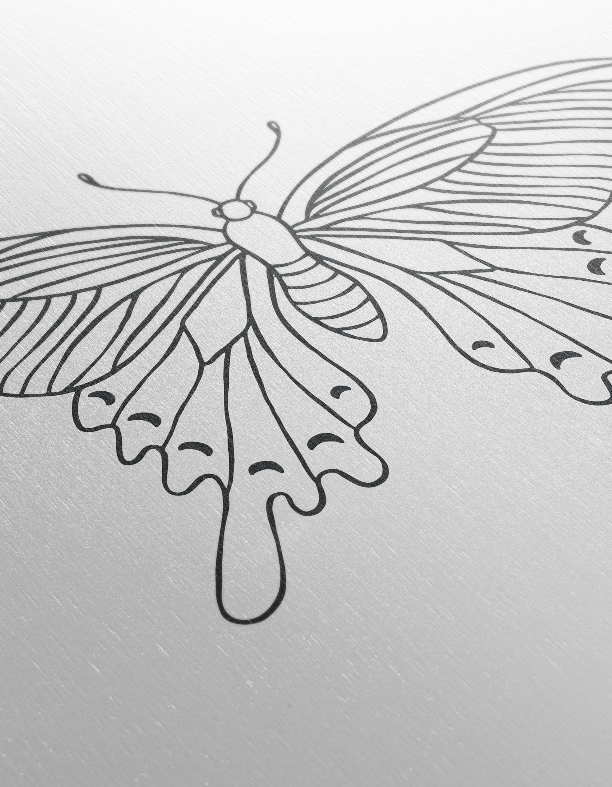 Intricate Butterfly Line Art Design - Image 12