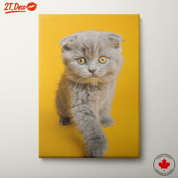 Cute Cat on Yellow Background