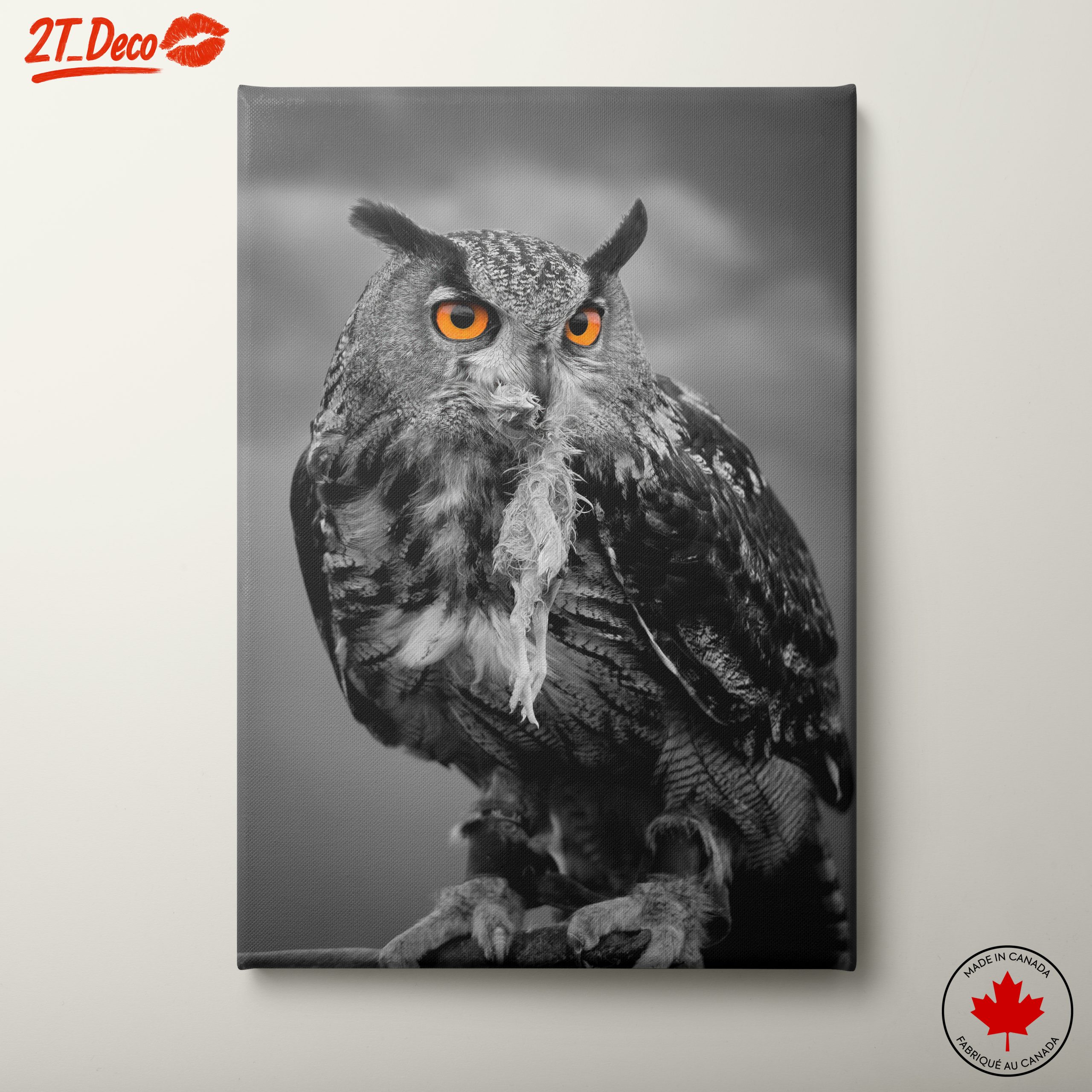 Majestic Owl Wall Art 3