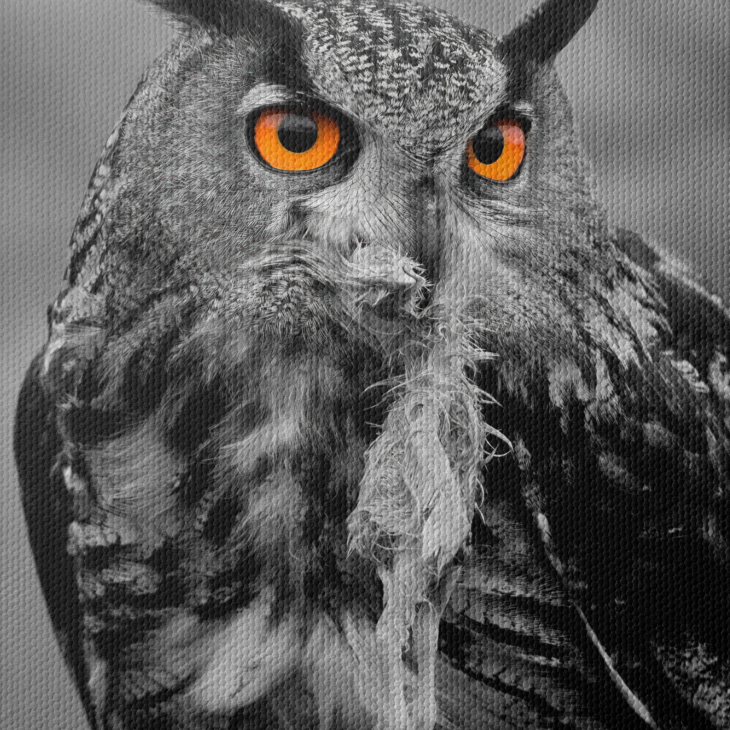 Majestic Owl Wall Art 3 - Image 4