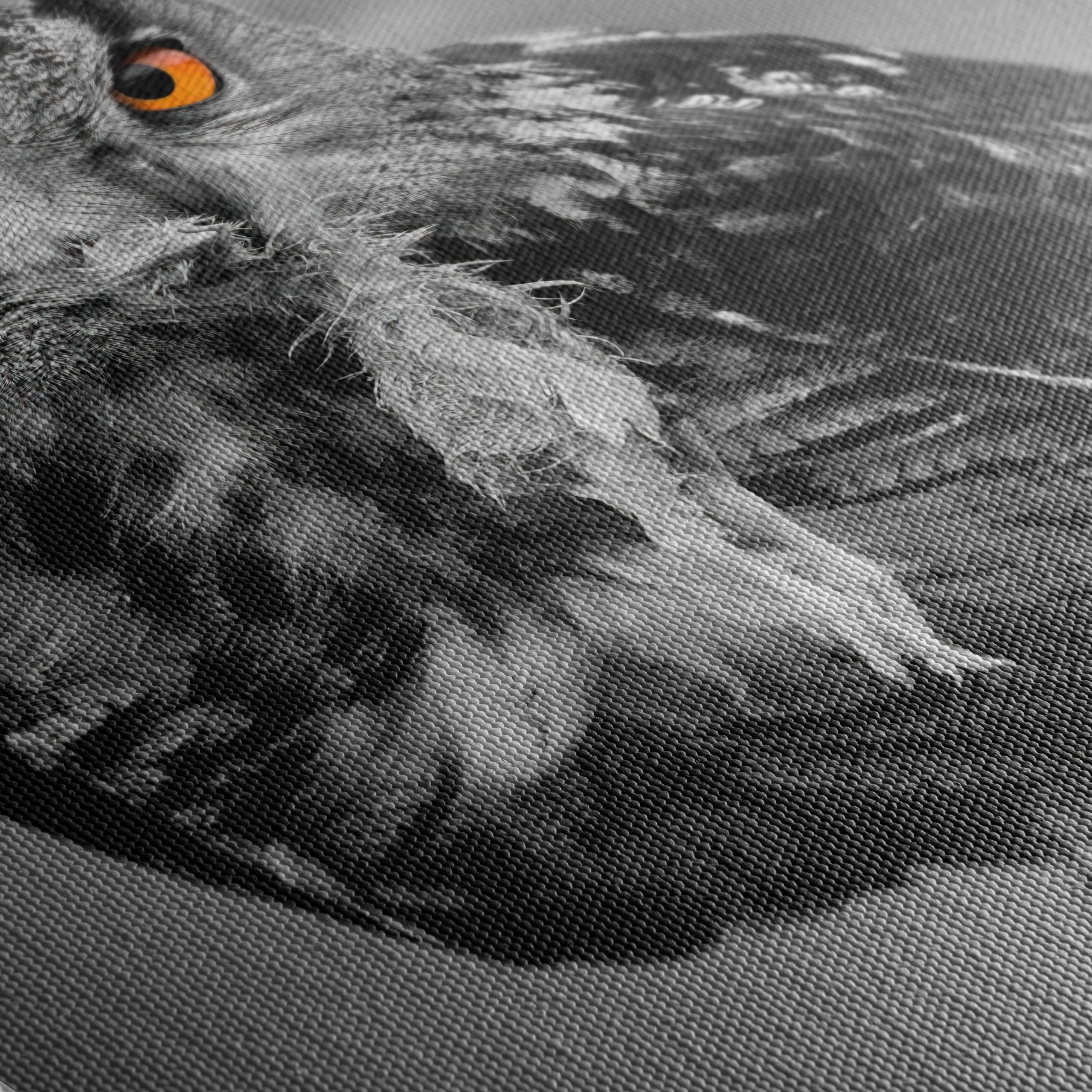 Majestic Owl Wall Art 3 - Image 5