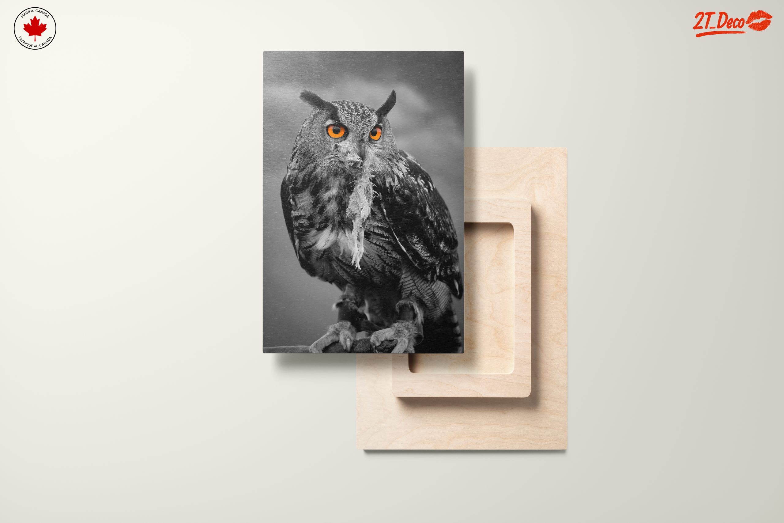 Majestic Owl Wall Art 3 - Image 11