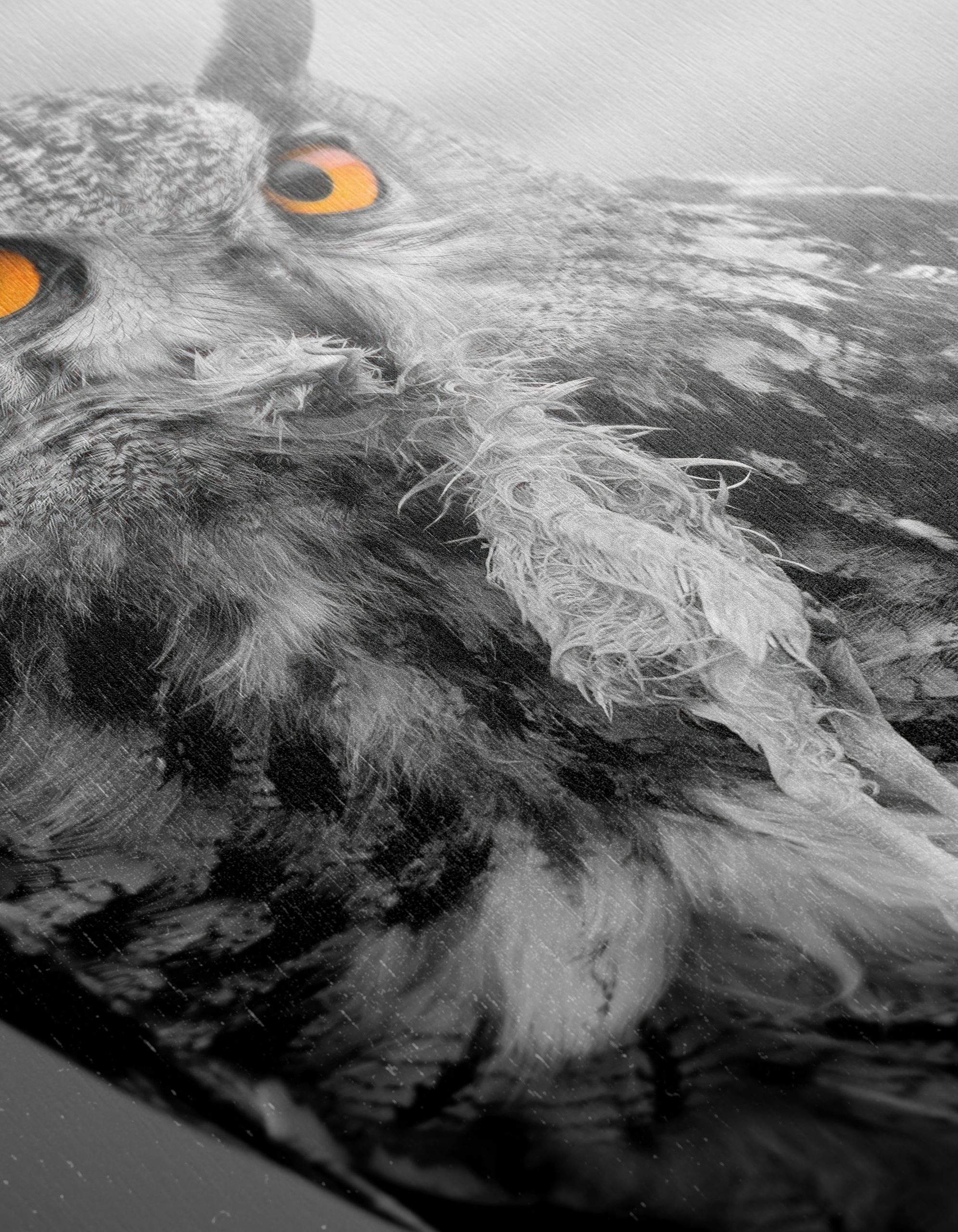 Majestic Owl Wall Art 3 - Image 12