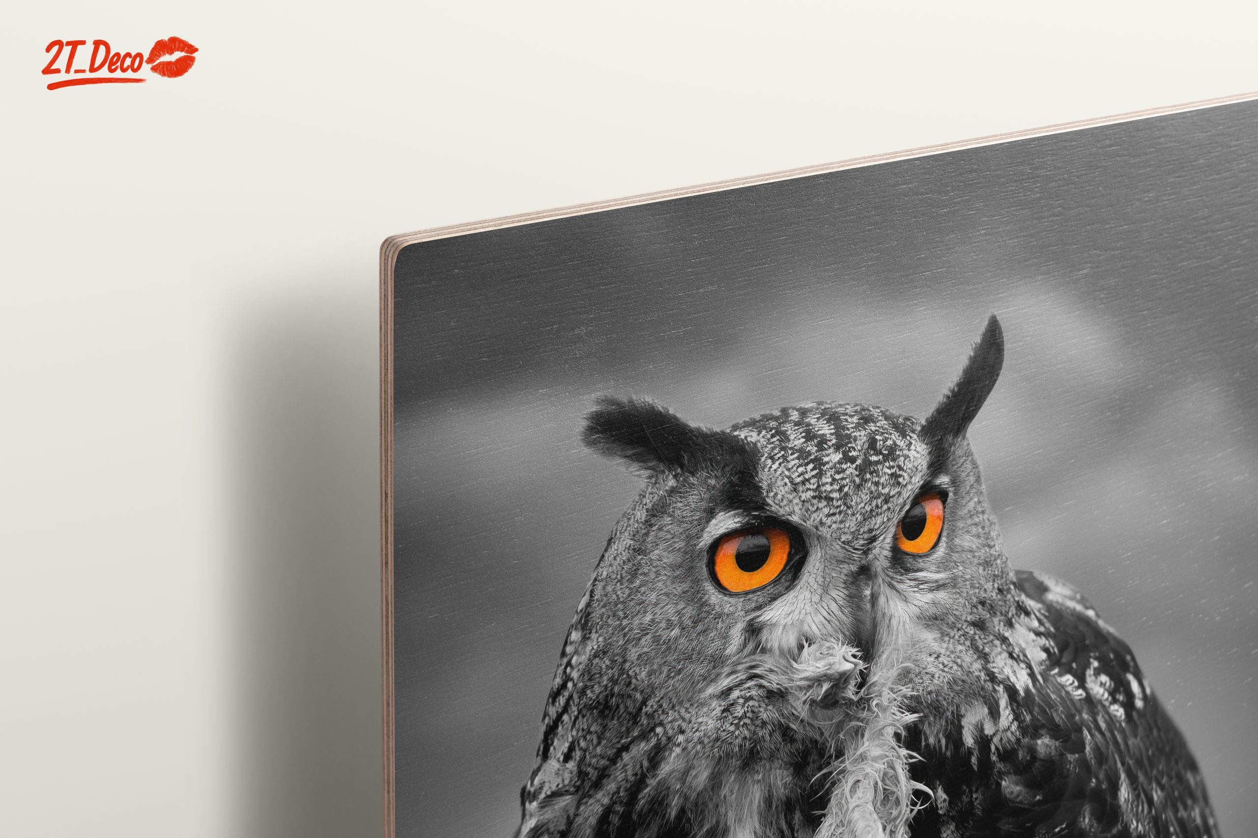 Majestic Owl Wall Art 3 - Image 15