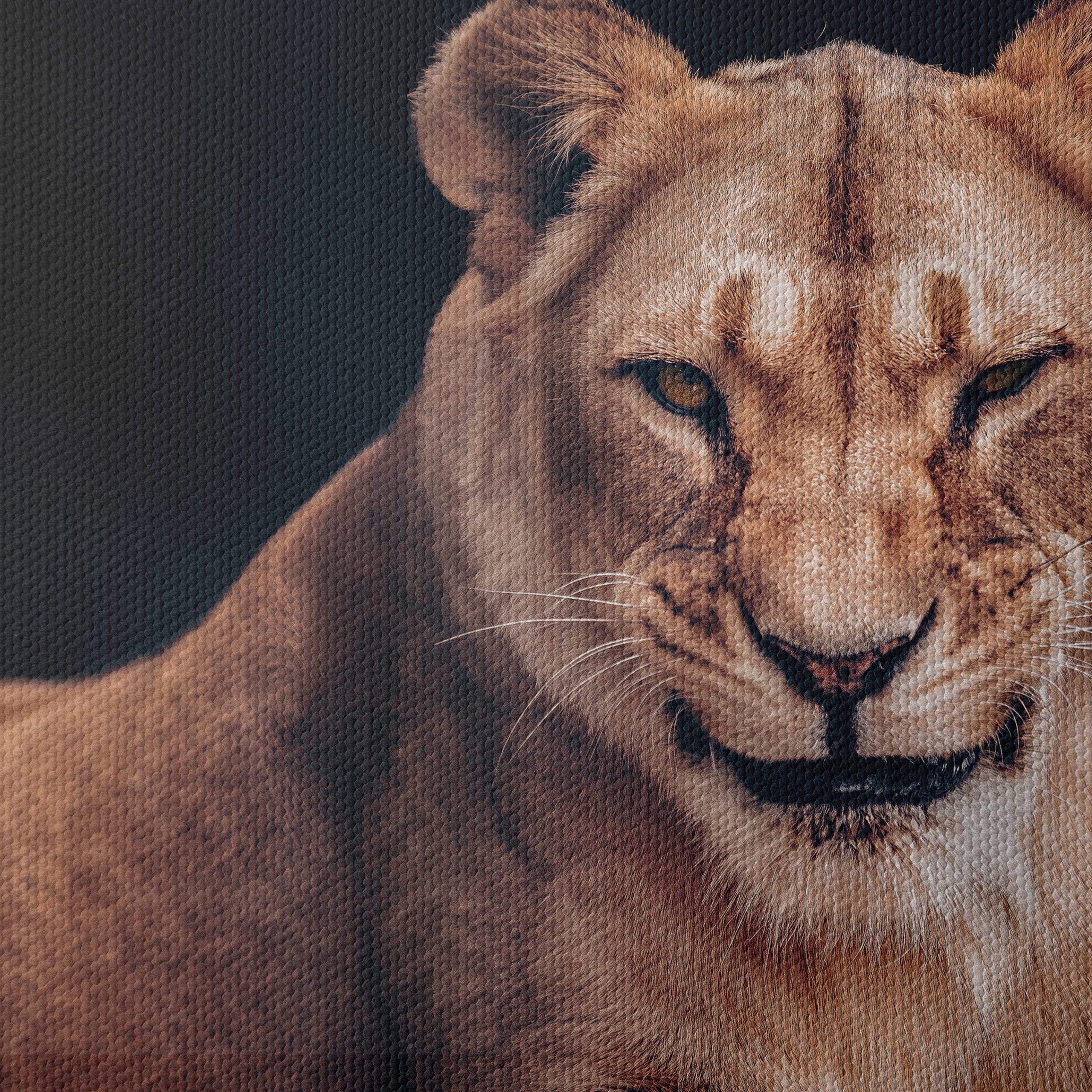 Majestic Lioness Wall Art 2 - Image 4