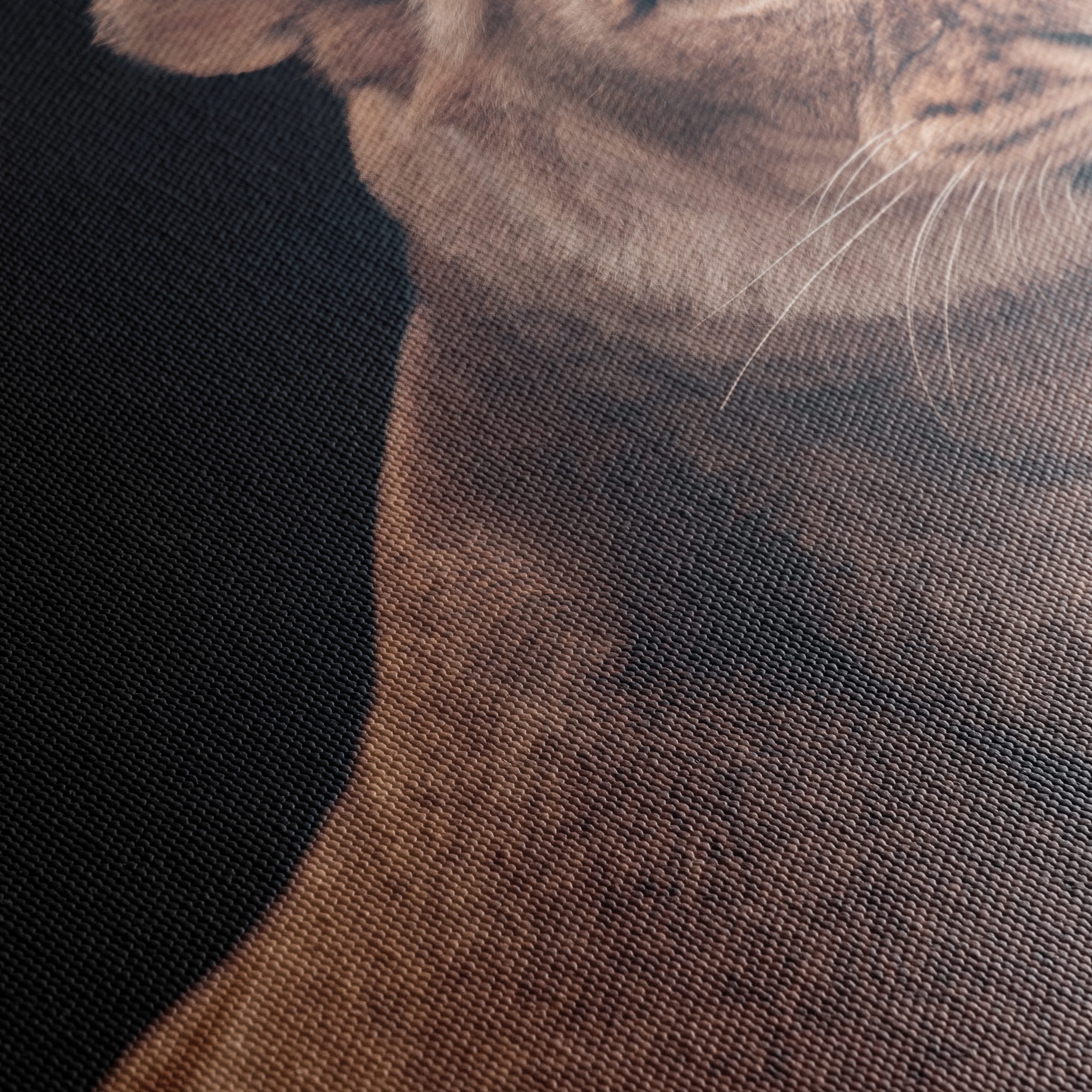 Majestic Lioness Wall Art 2 - Image 5