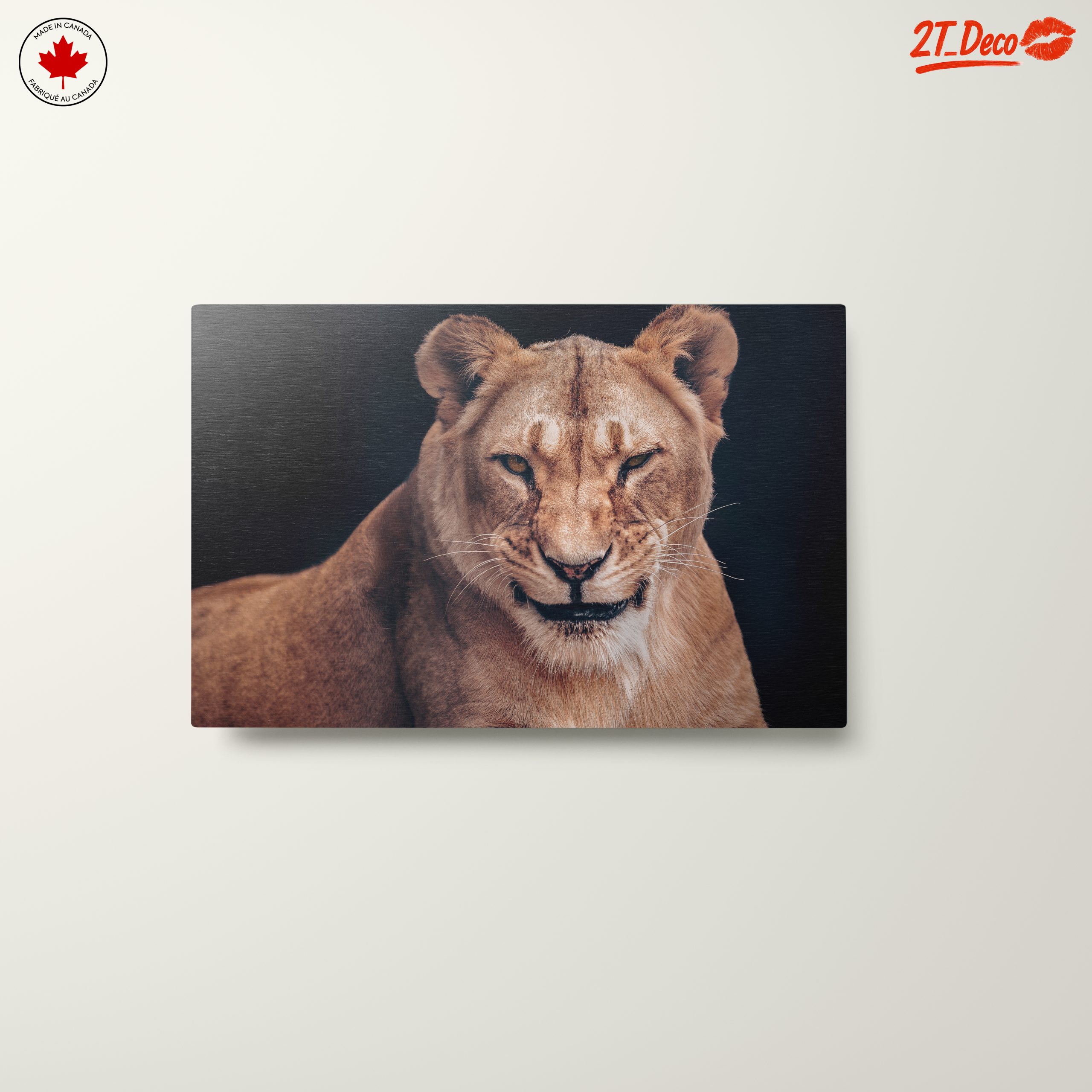 Majestic Lioness Wall Art 2 - Image 10