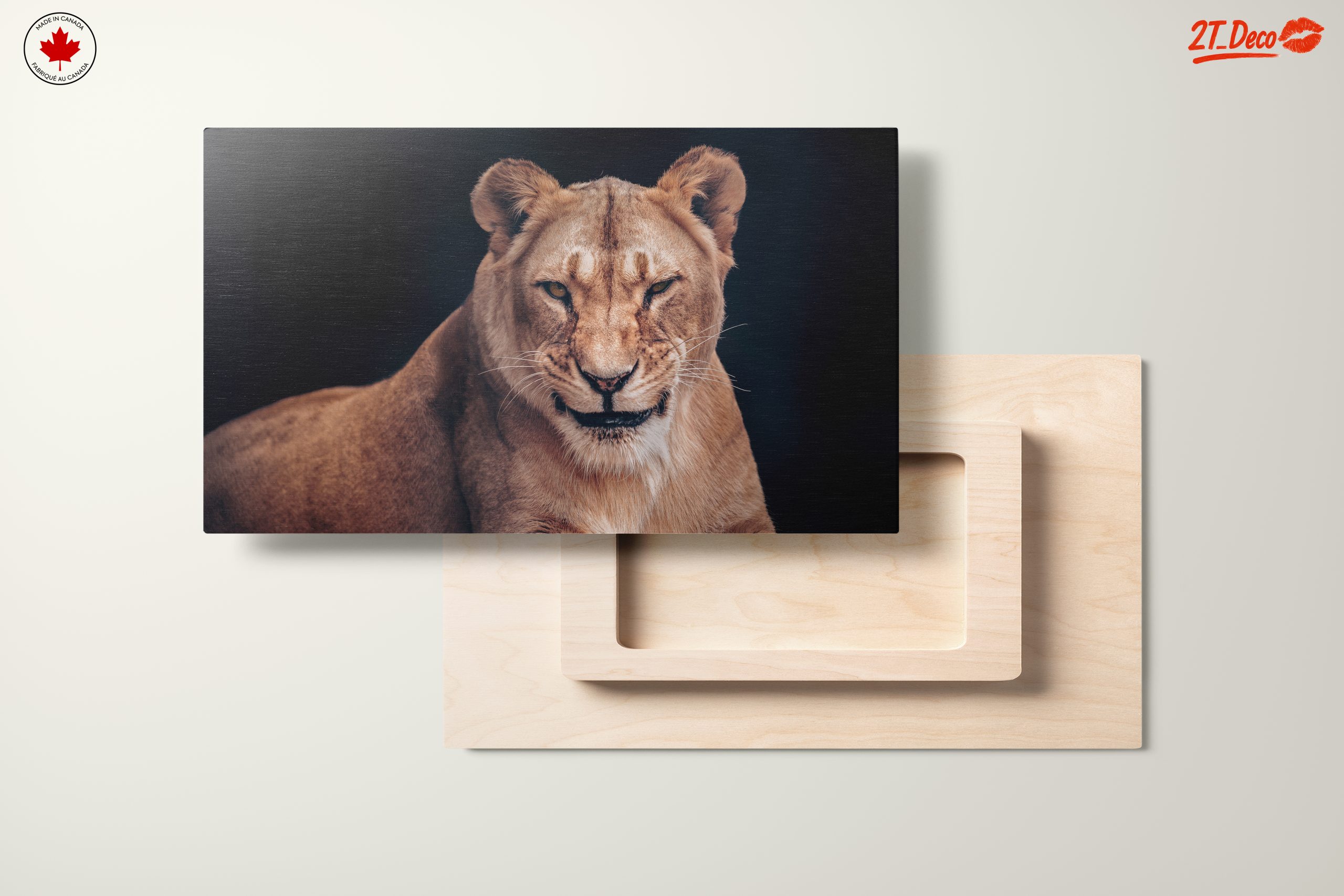 Majestic Lioness Wall Art 2 - Image 11