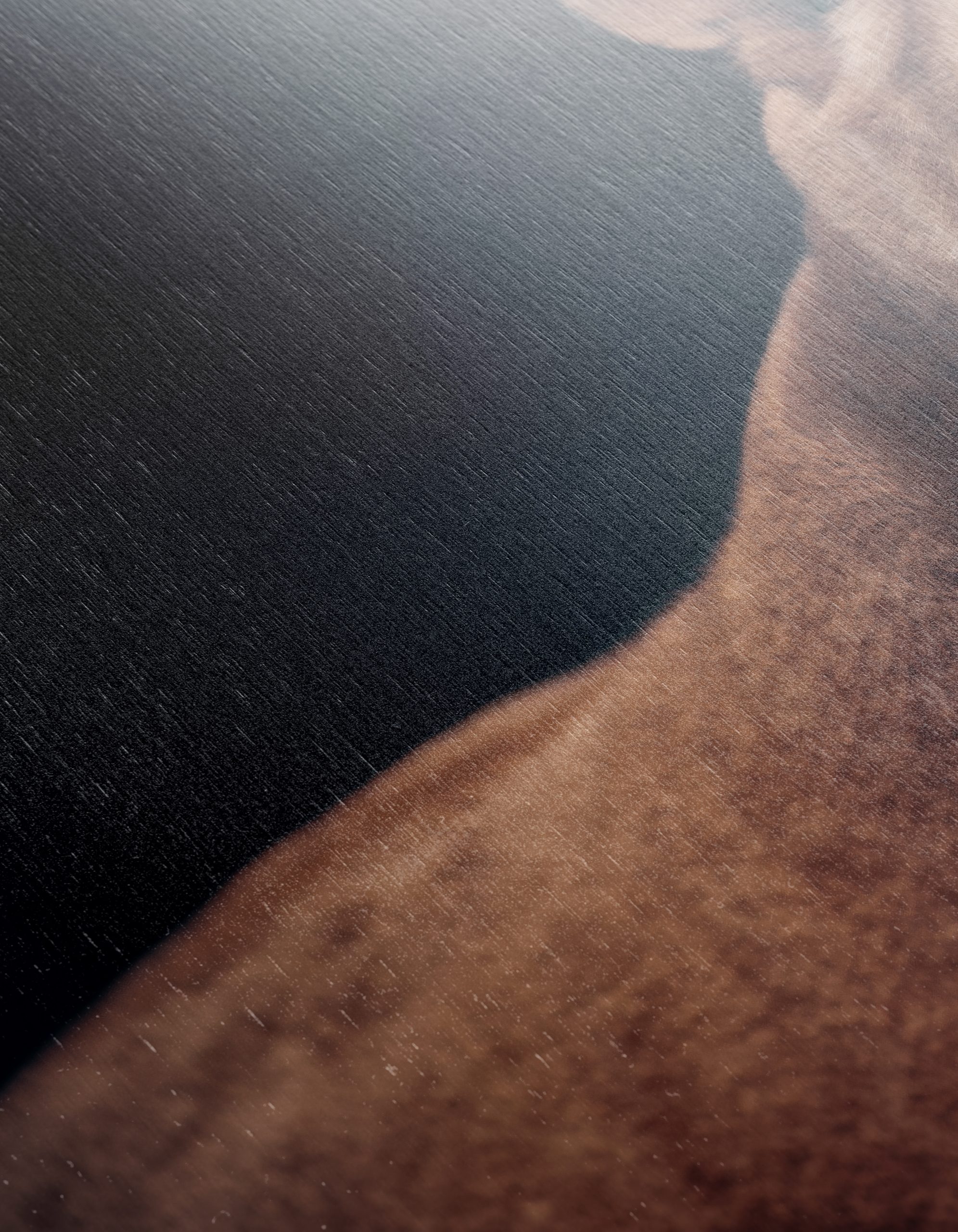 Majestic Lioness Wall Art 2 - Image 12